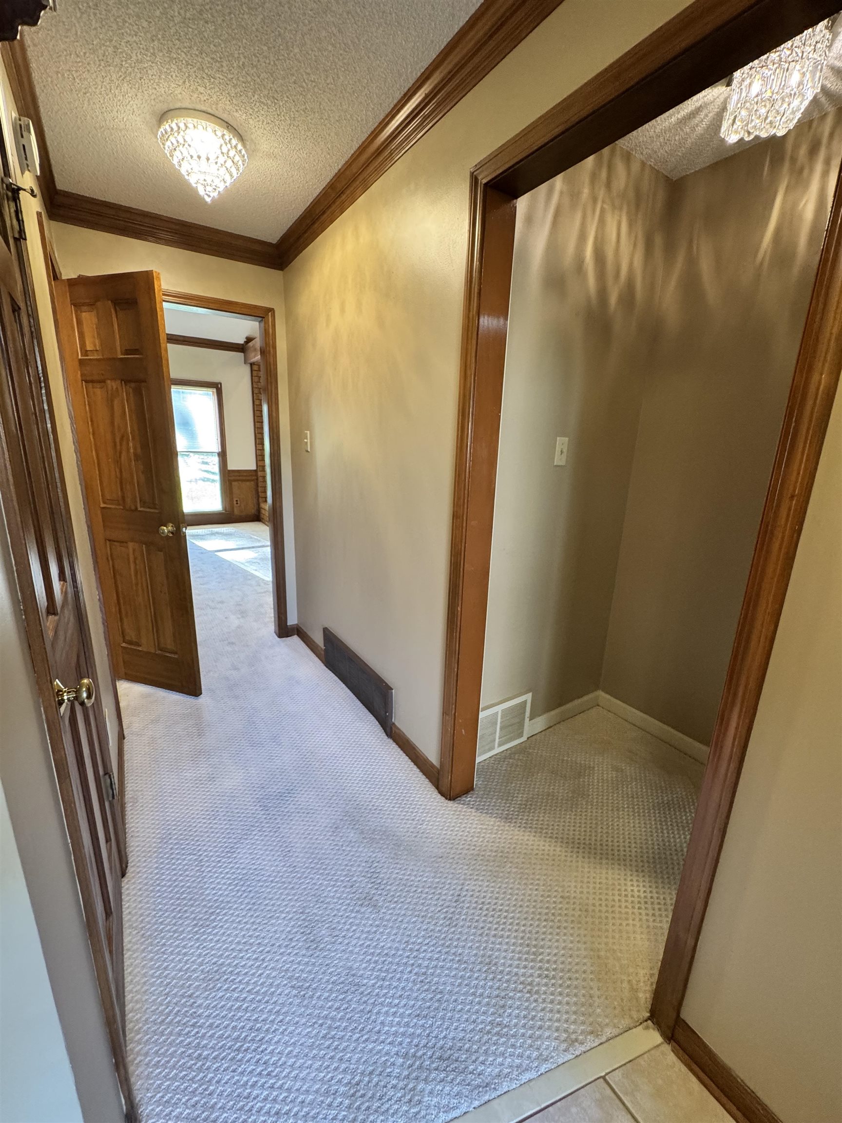 2025 Mt Badon Ln Property Photo 13