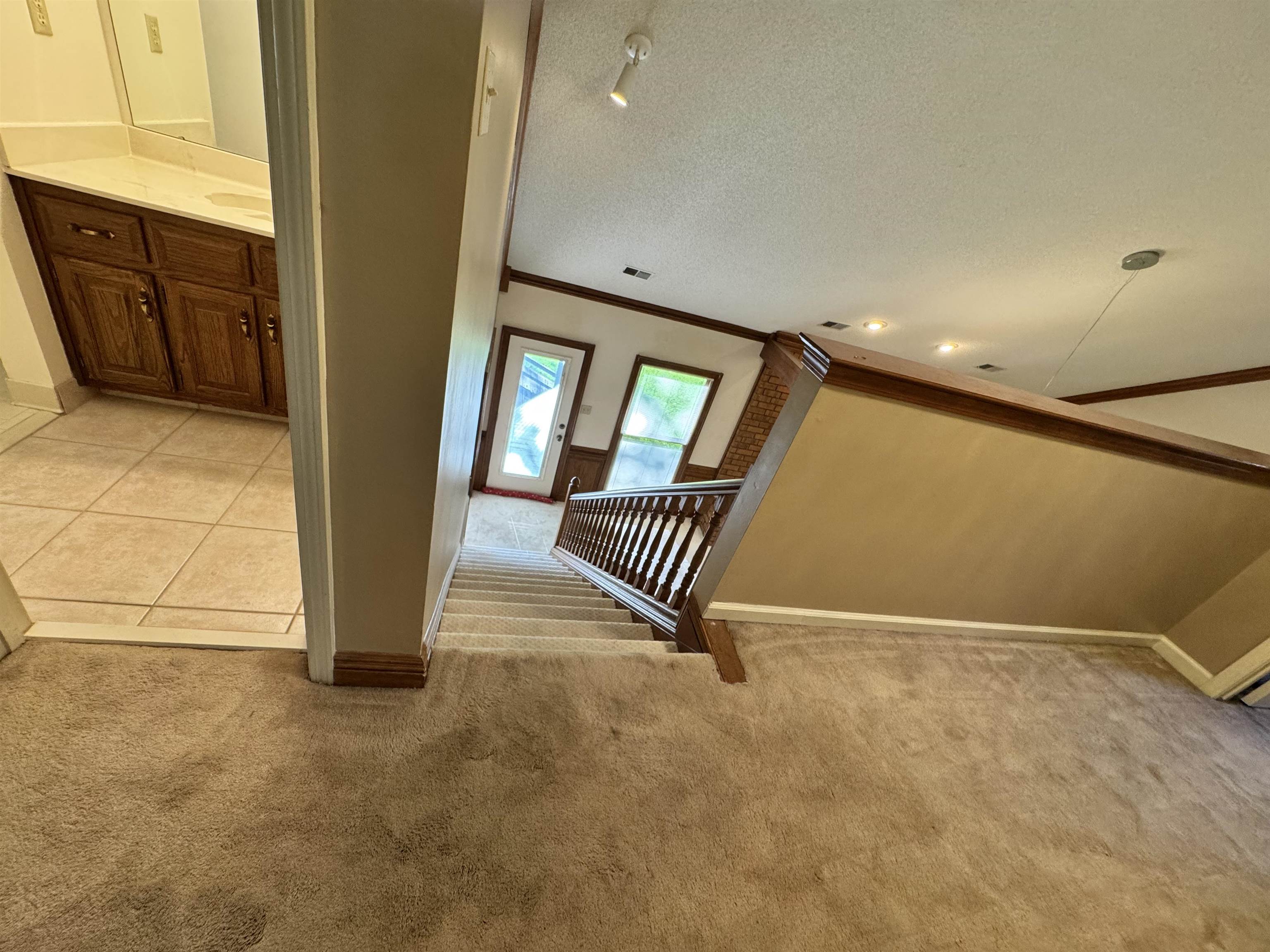 2025 Mt Badon Ln Property Photo 26
