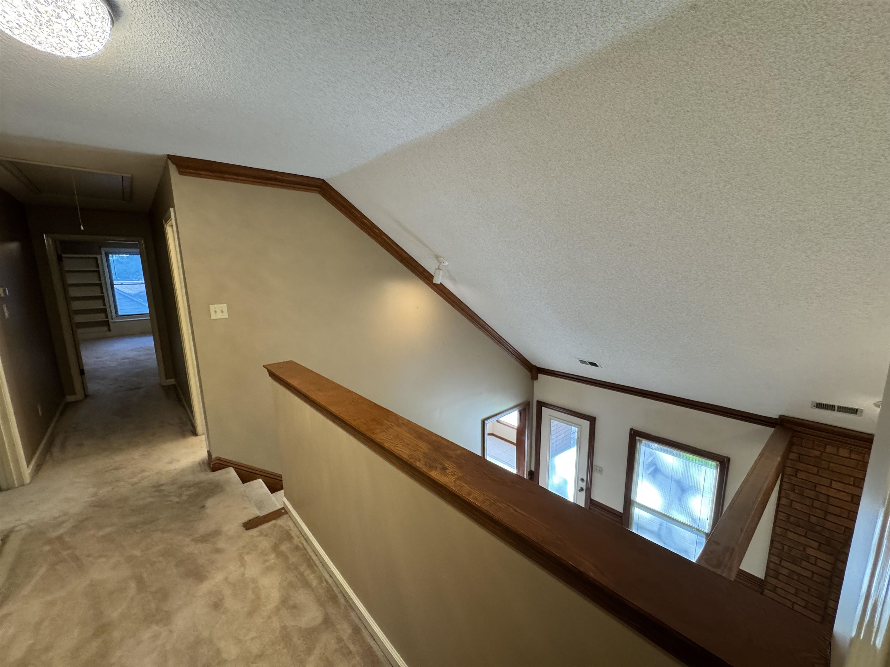 2025 Mt Badon Ln Property Photo 27