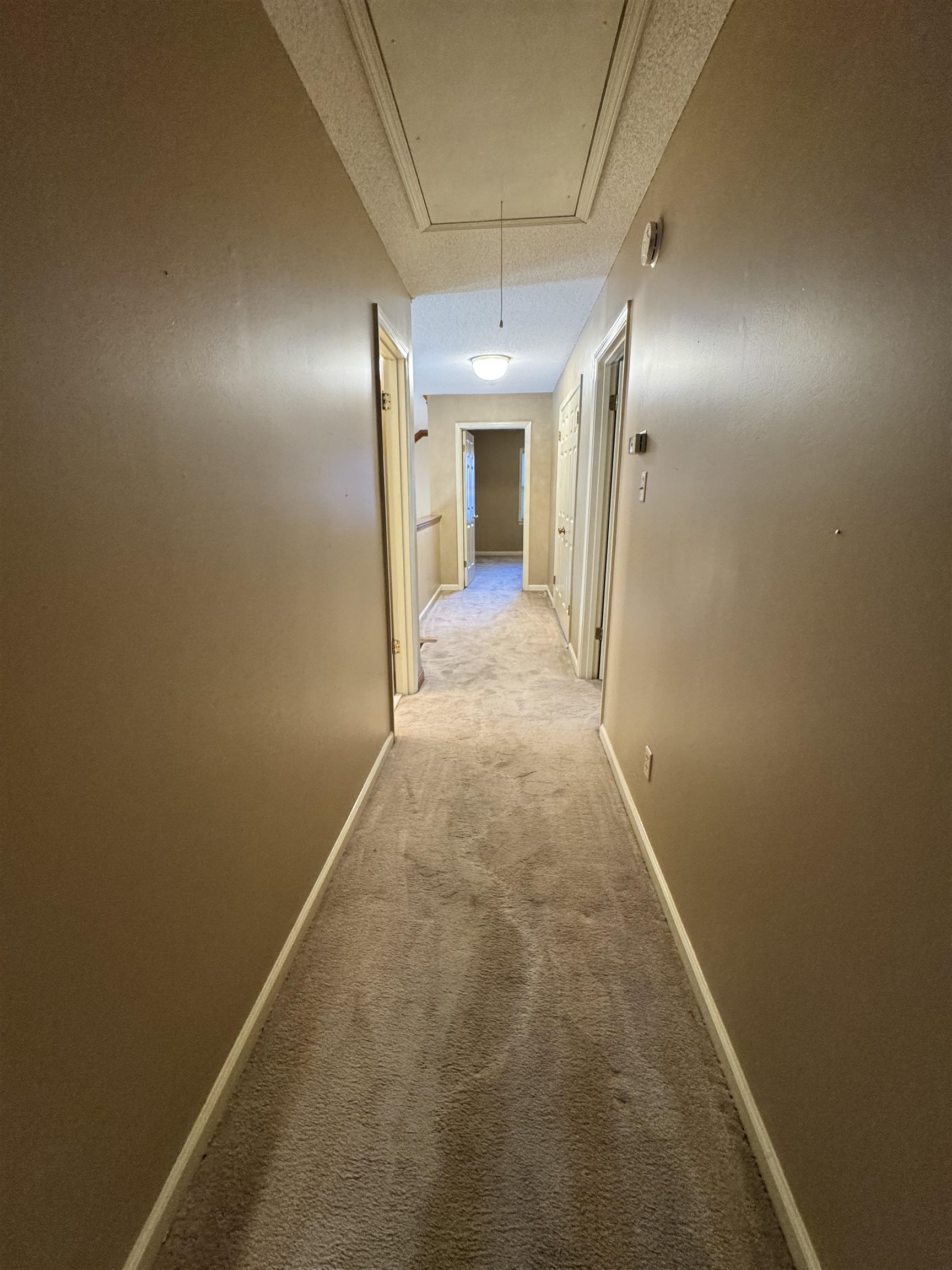 2025 Mt Badon Ln Property Photo 30