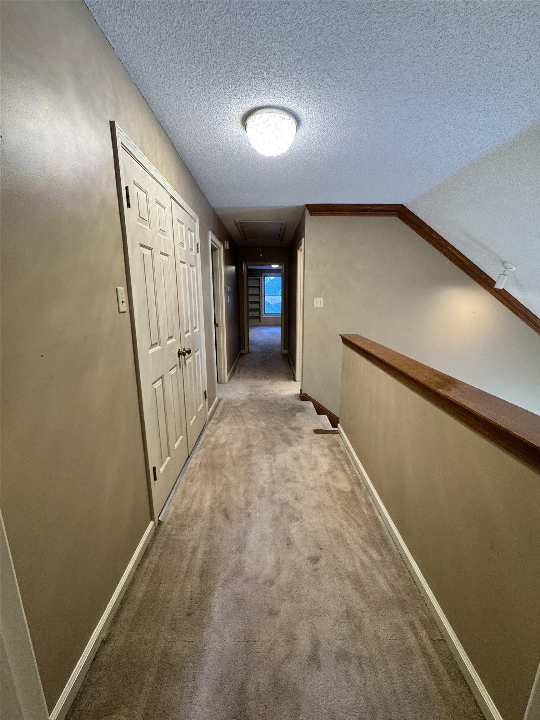 2025 Mt Badon Ln Property Photo 33