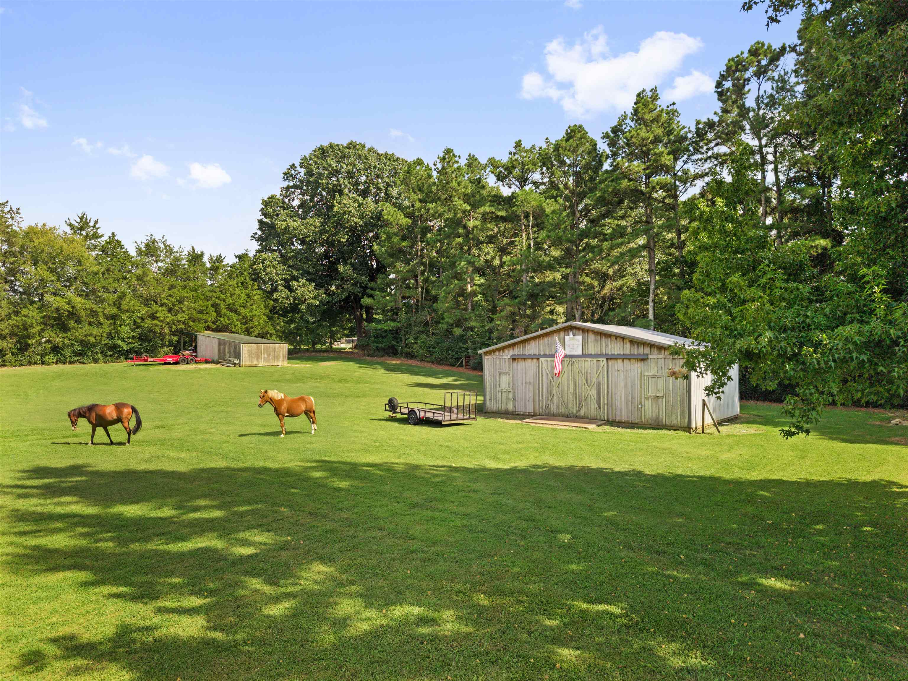 265 Caitlin Dr Property Photo 29