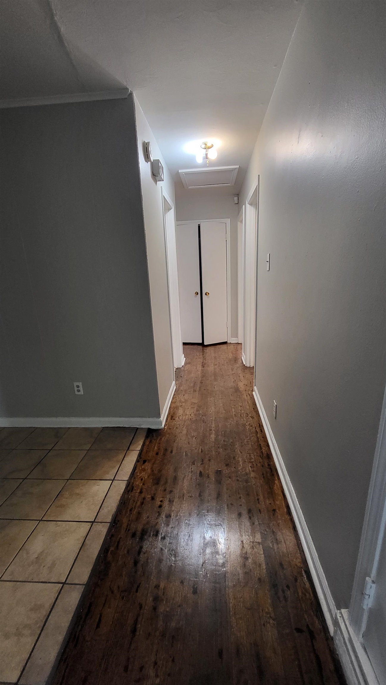 4697 Grecco Dr Property Photo 4
