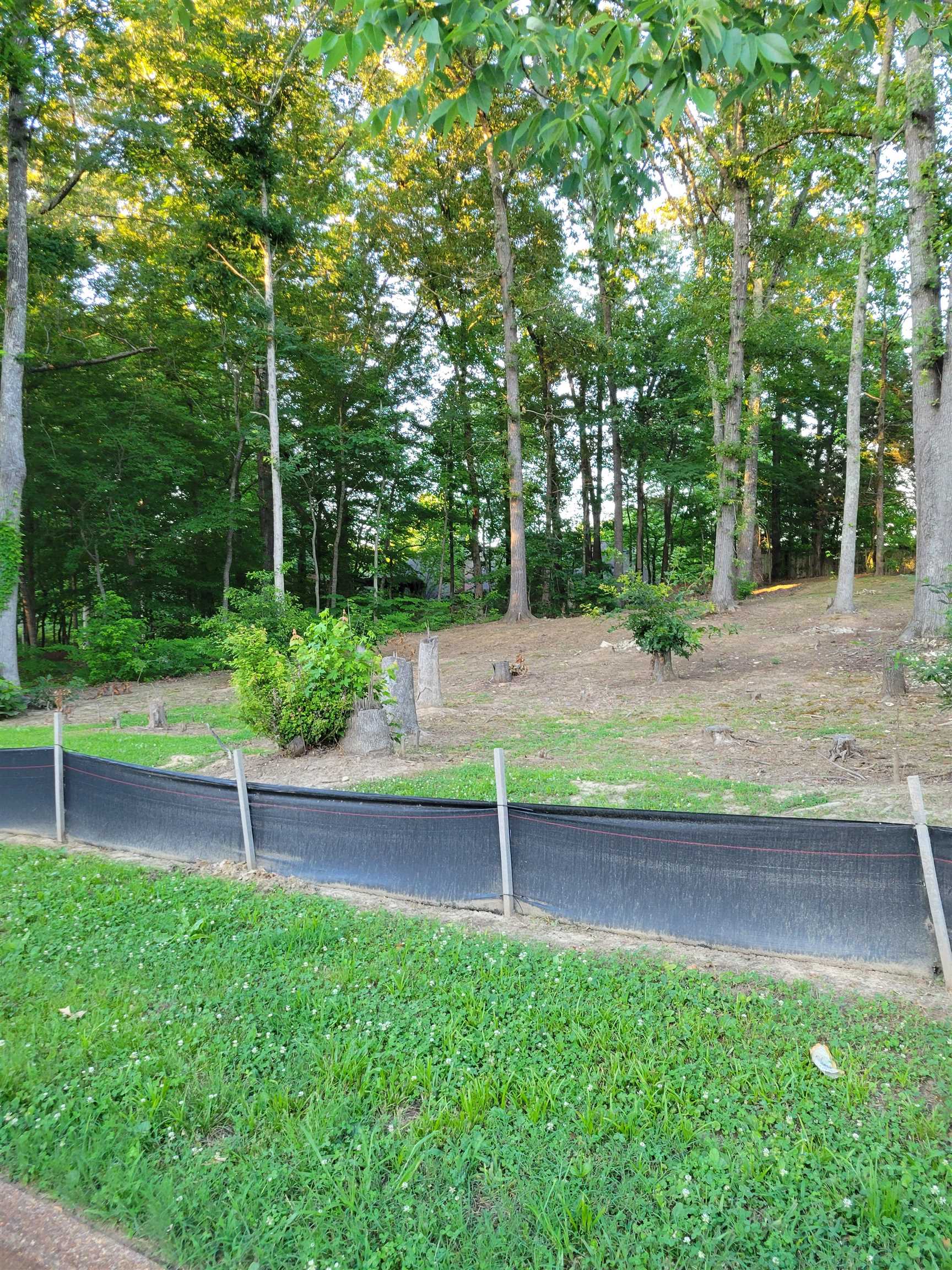9208 Beaver Valley Ln Property Photo 4