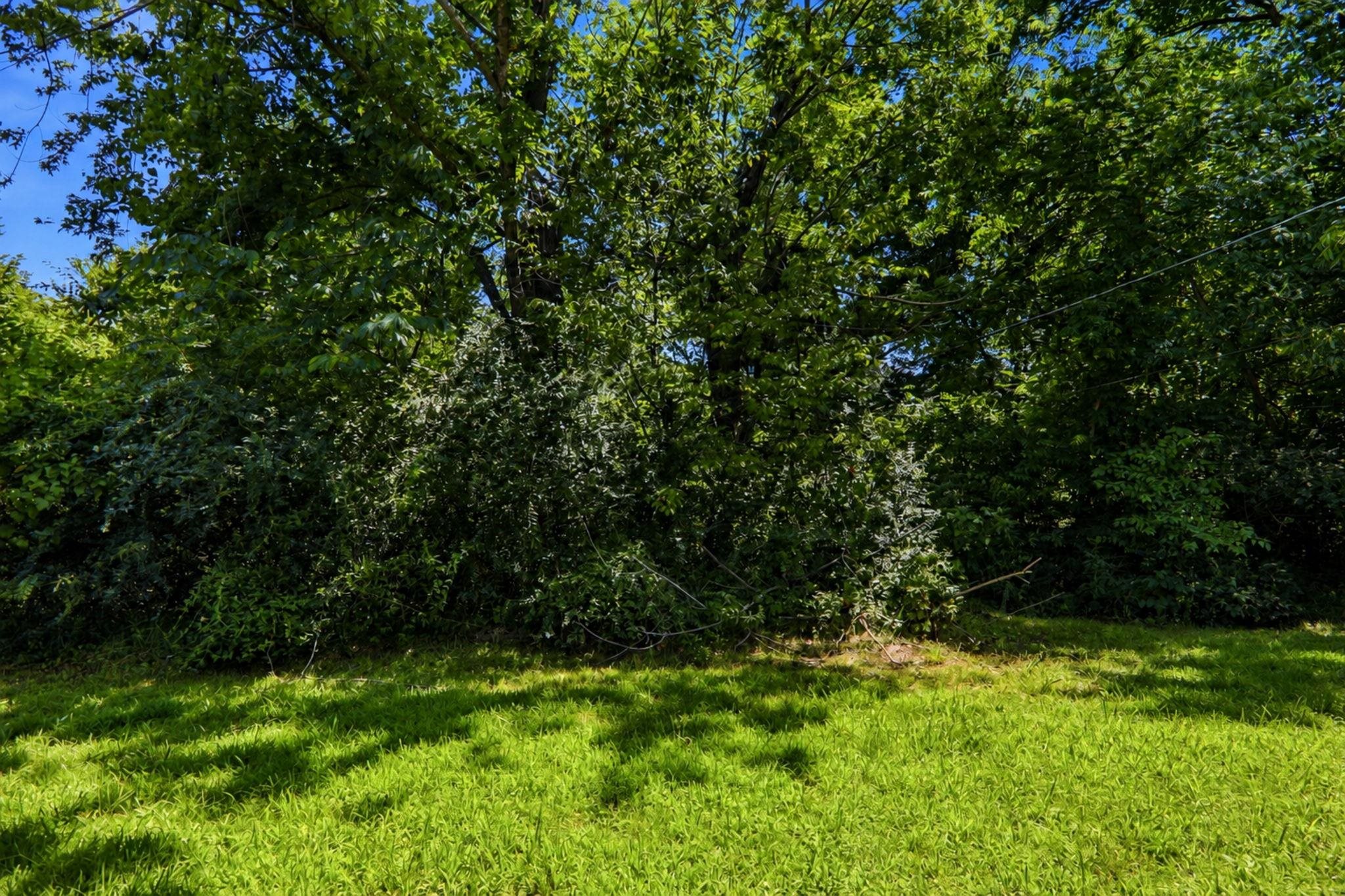 4150 Windermere Rd Property Photo 18