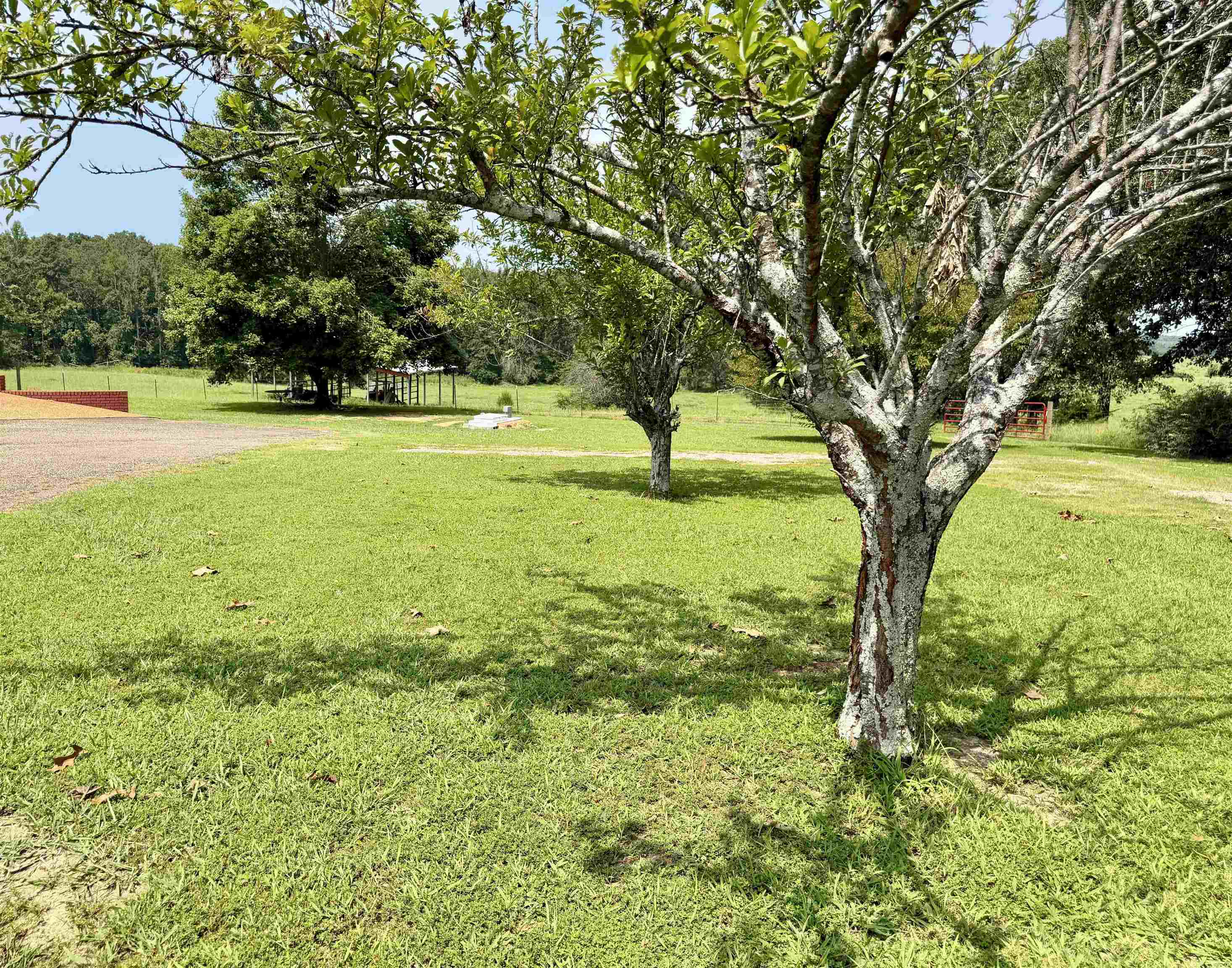 90 Mckelvey Hollow Rd Property Photo 31