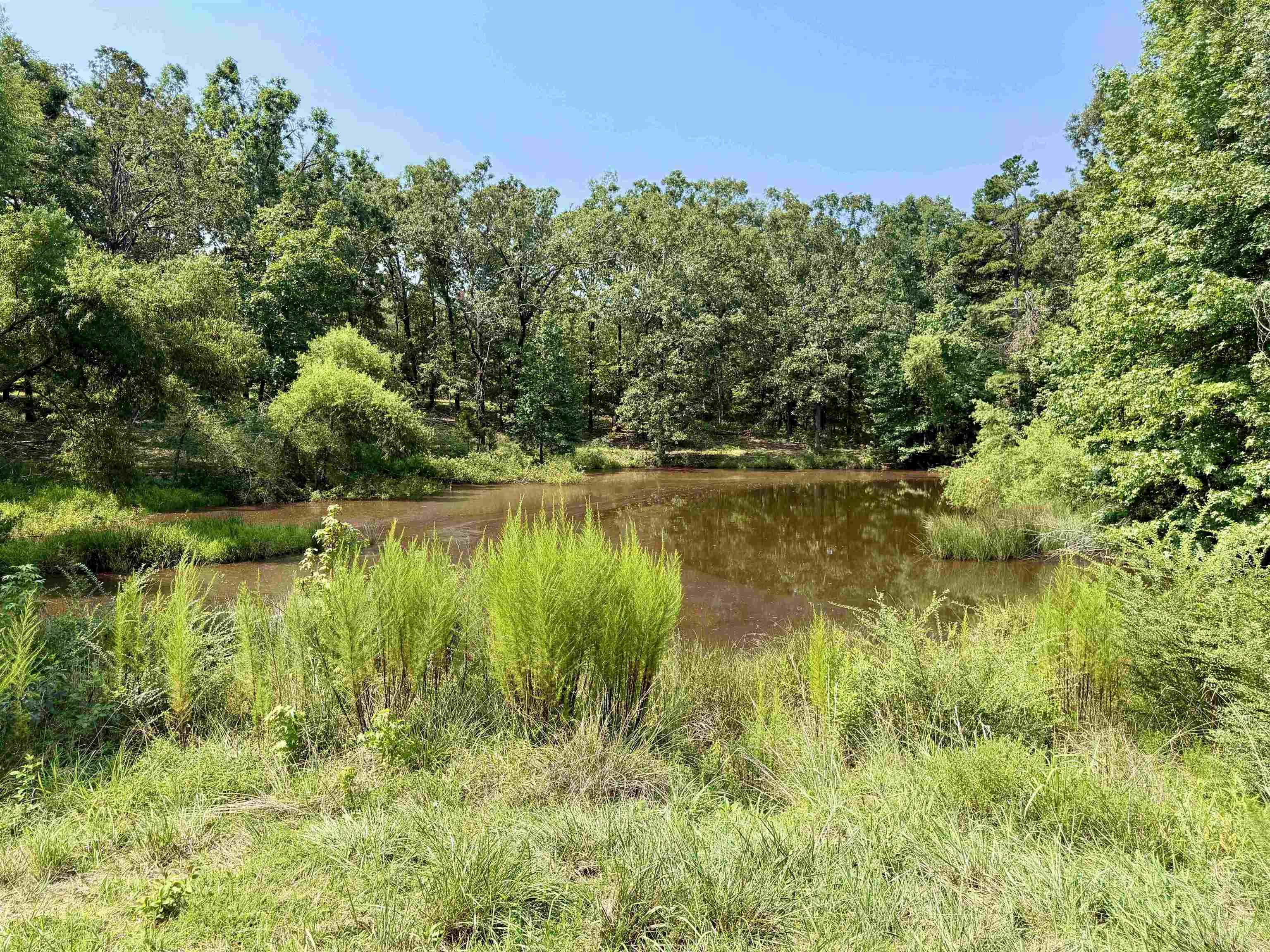 90 Mckelvey Hollow Rd Property Photo 33