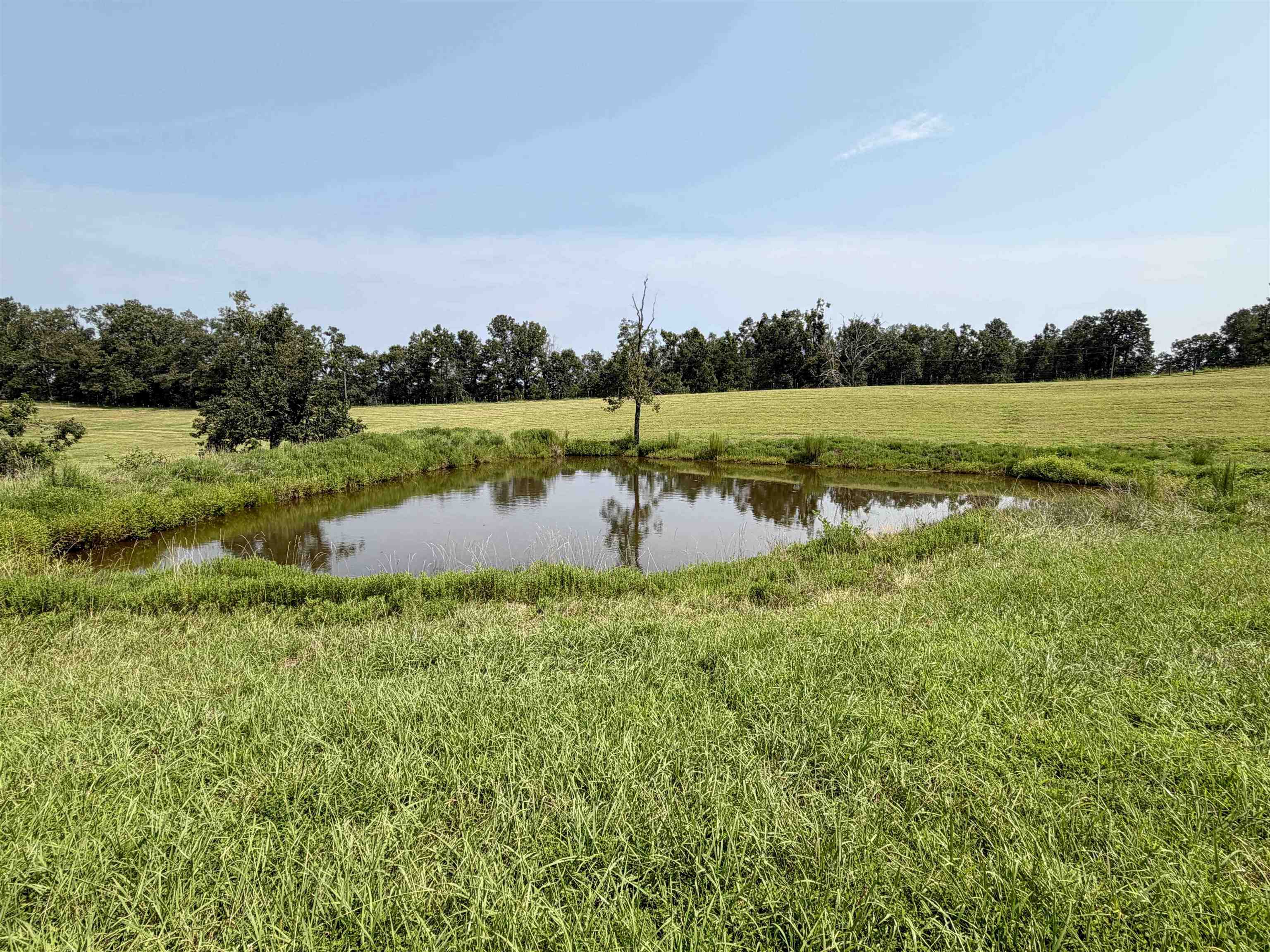 90 Mckelvey Hollow Rd Property Photo 34