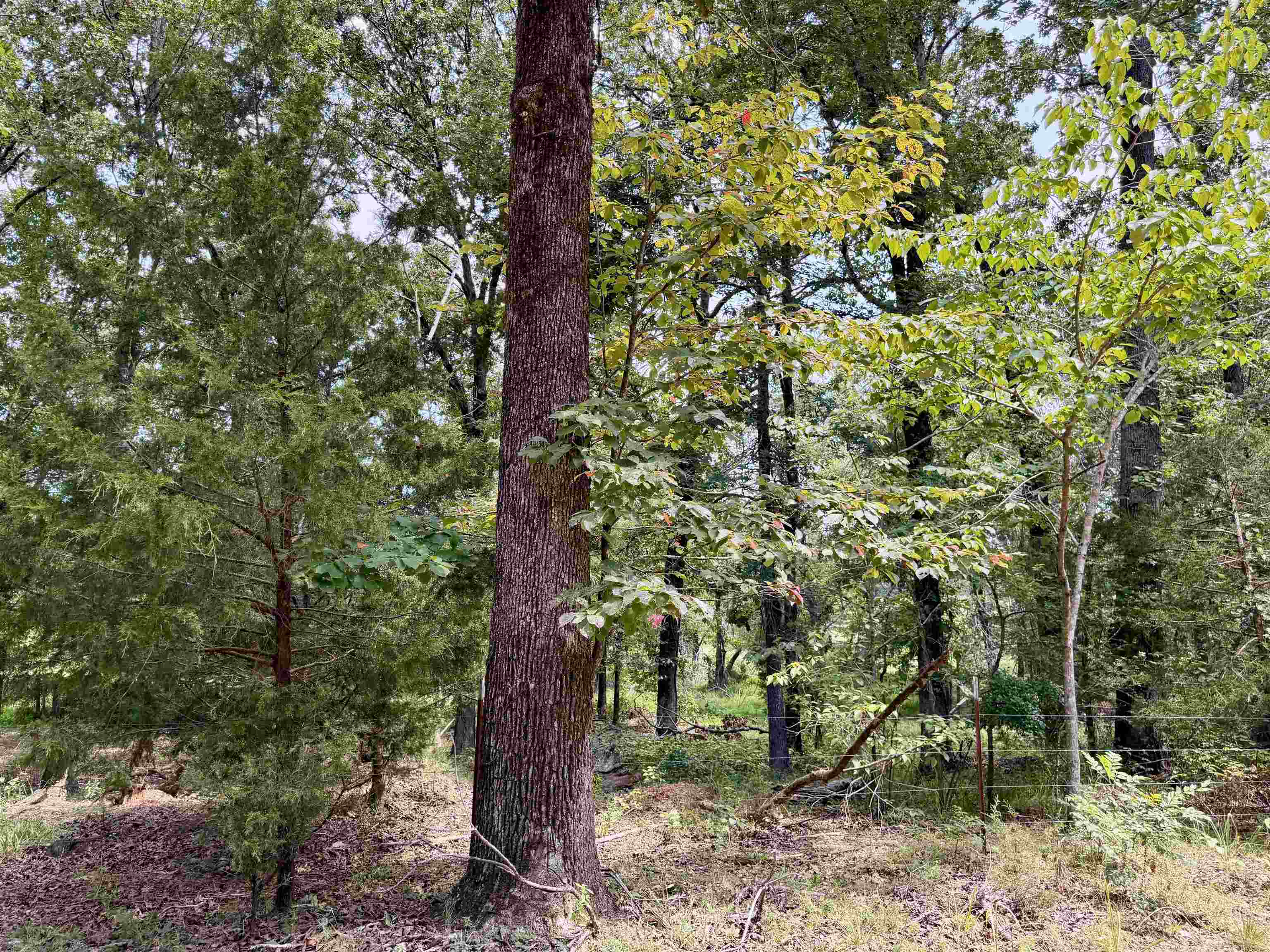 90 Mckelvey Hollow Rd Property Photo 40
