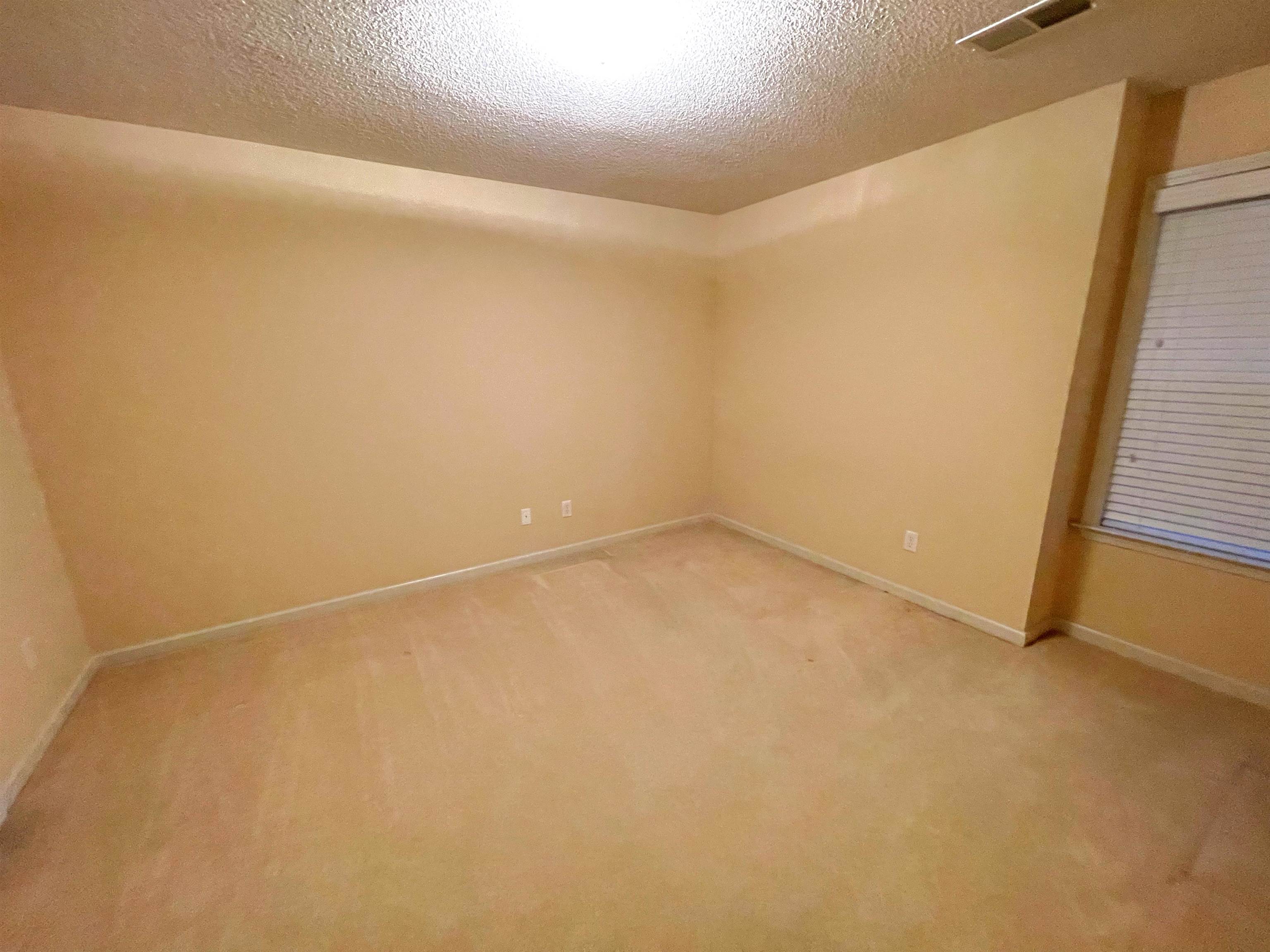 4965 Shaws Ridge Trl Property Photo 13