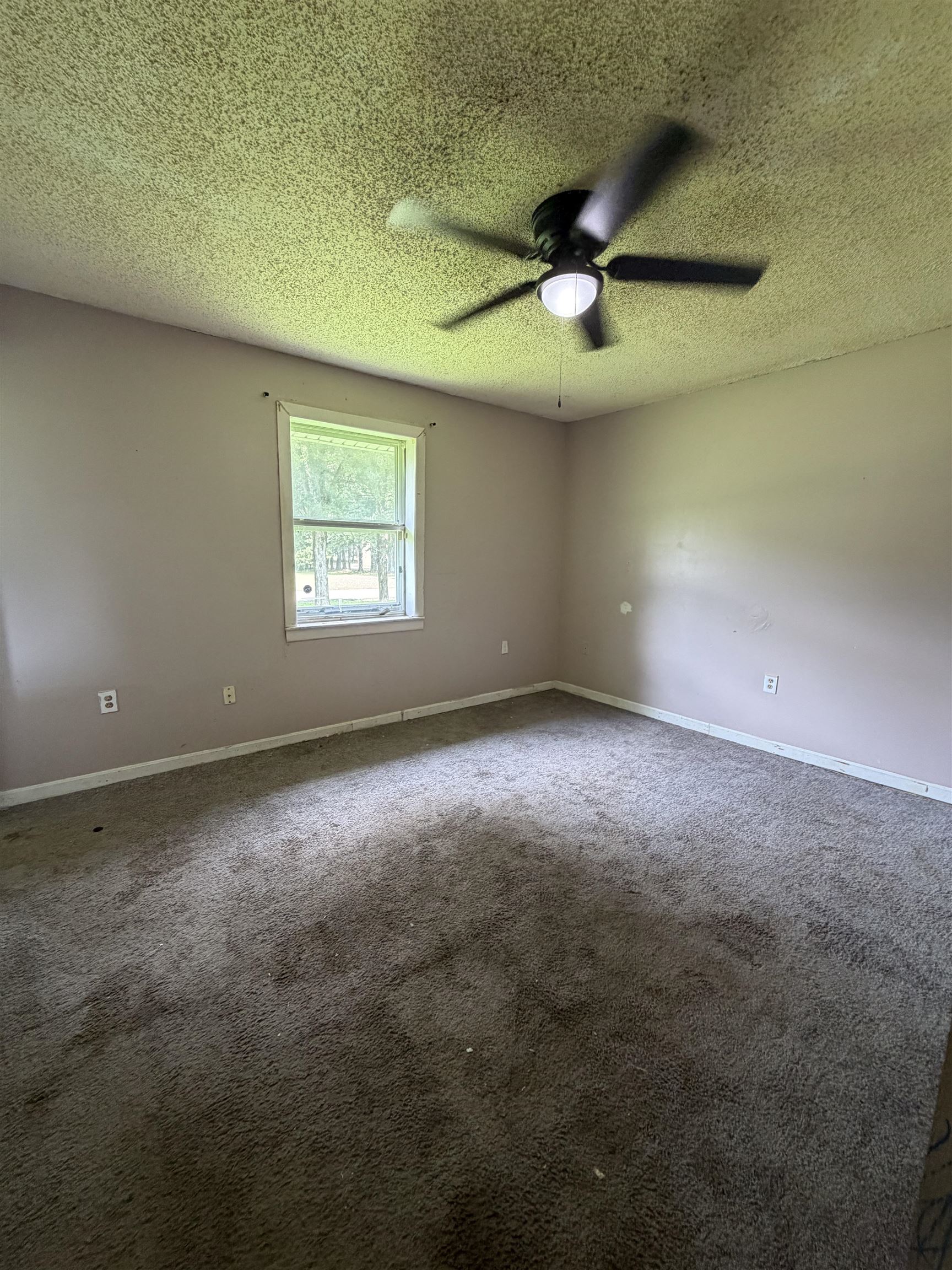 1343 Joe Joyner Rd Property Photo 3