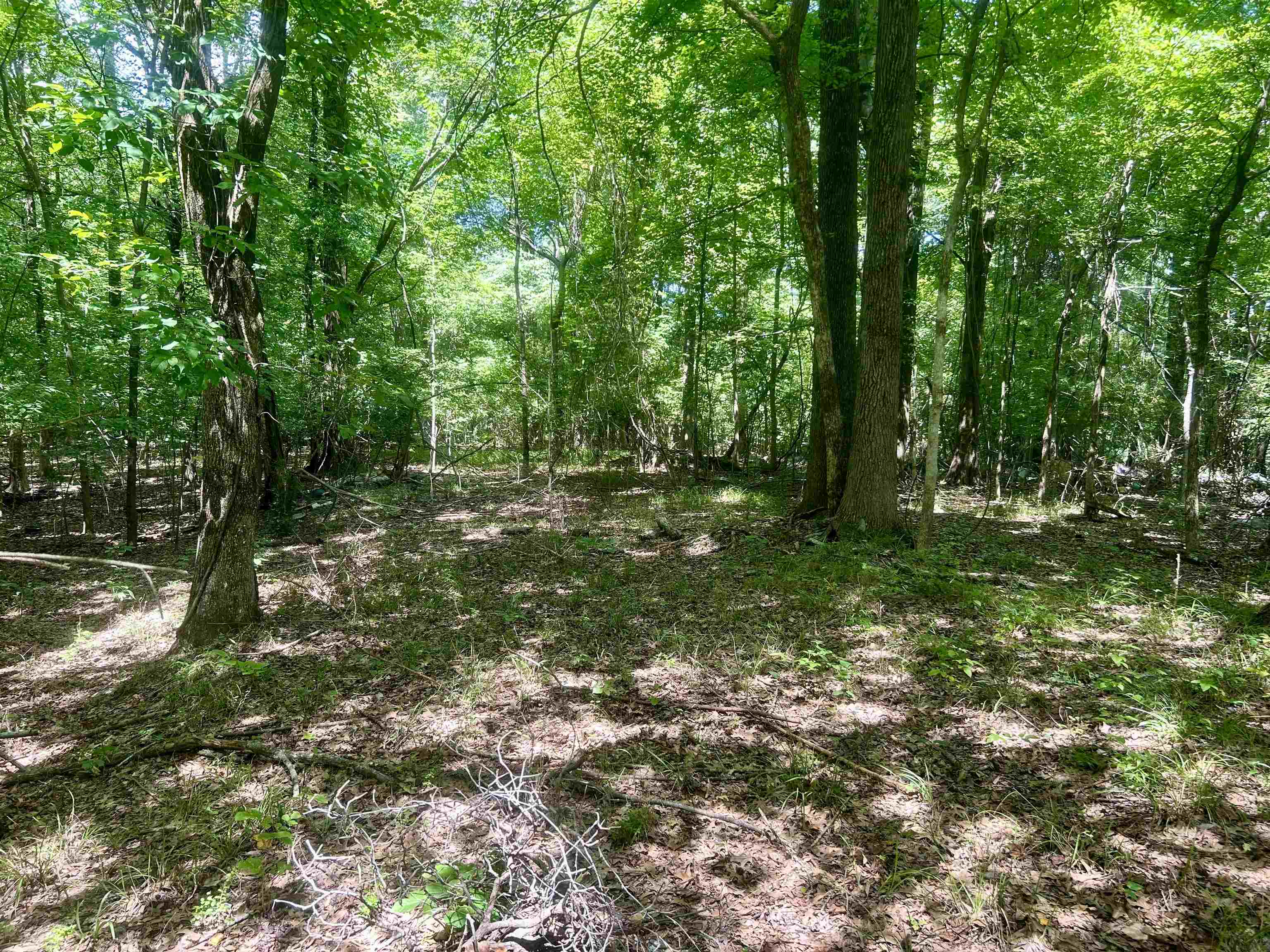 00 Lakehurst Drive Dr Property Photo 2