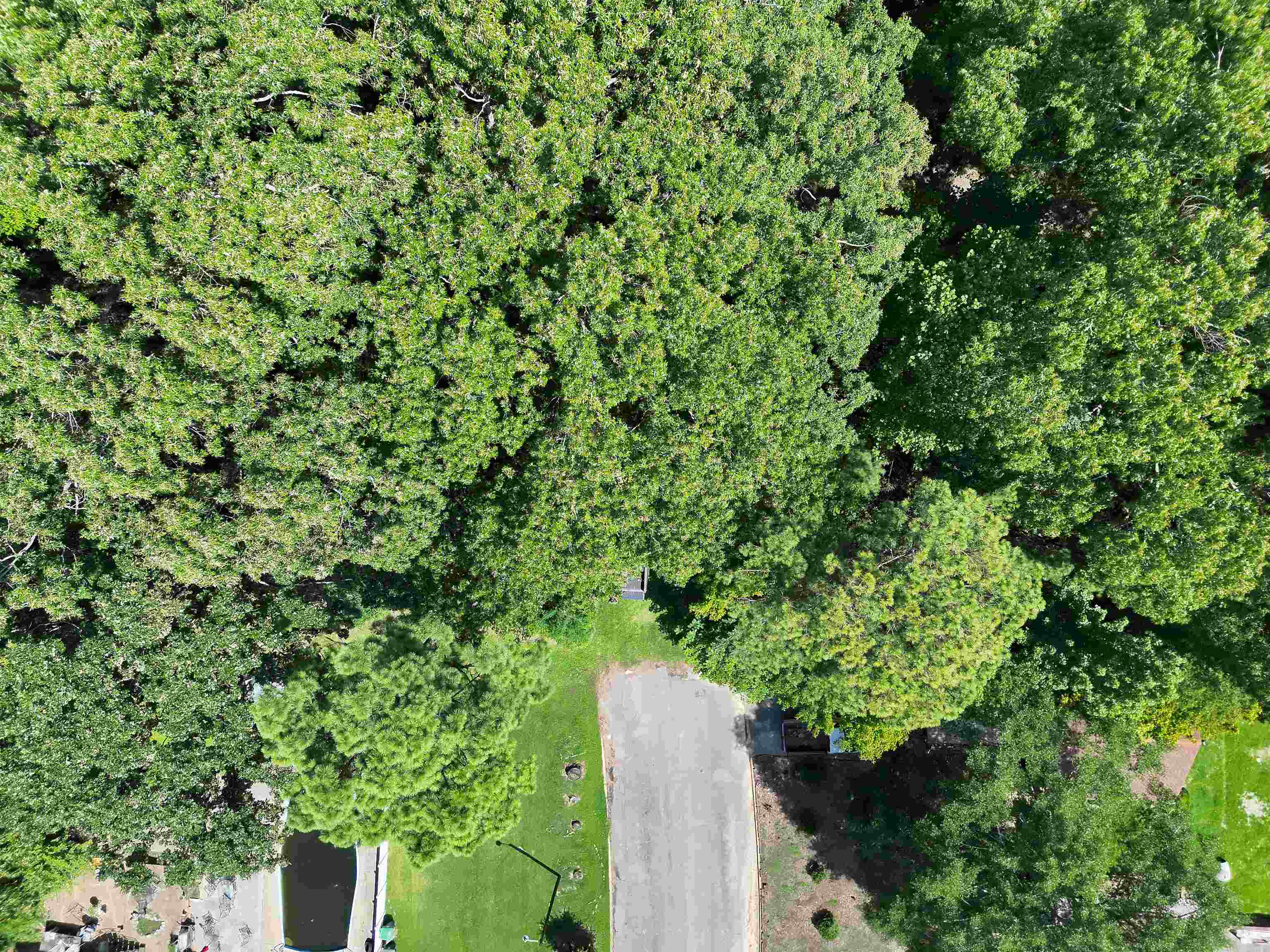 00 Lakehurst Drive Dr Property Photo 4