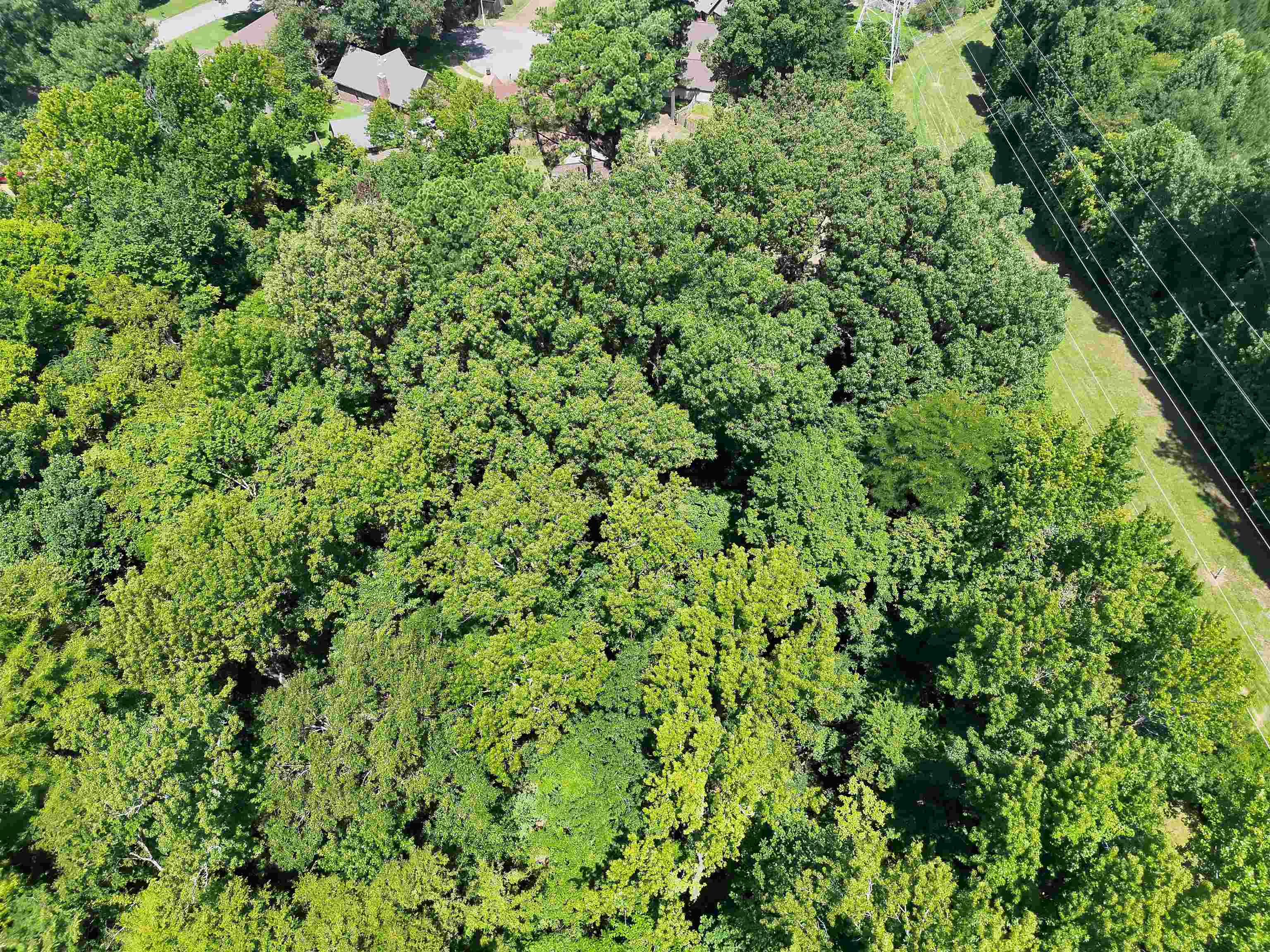 00 Lakehurst Drive Dr Property Photo 7
