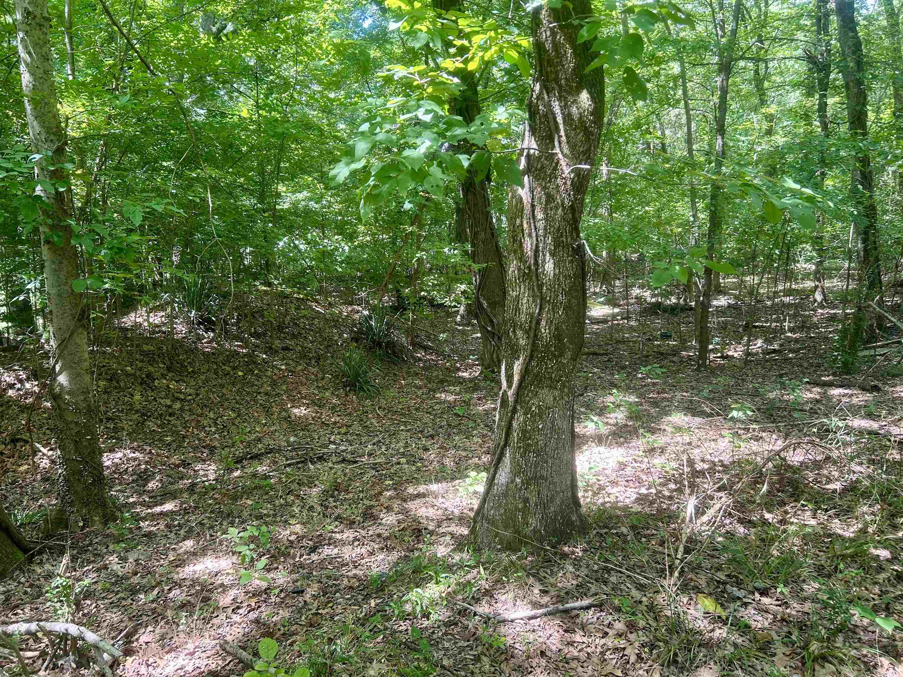 00 Lakehurst Drive Dr Property Photo 8