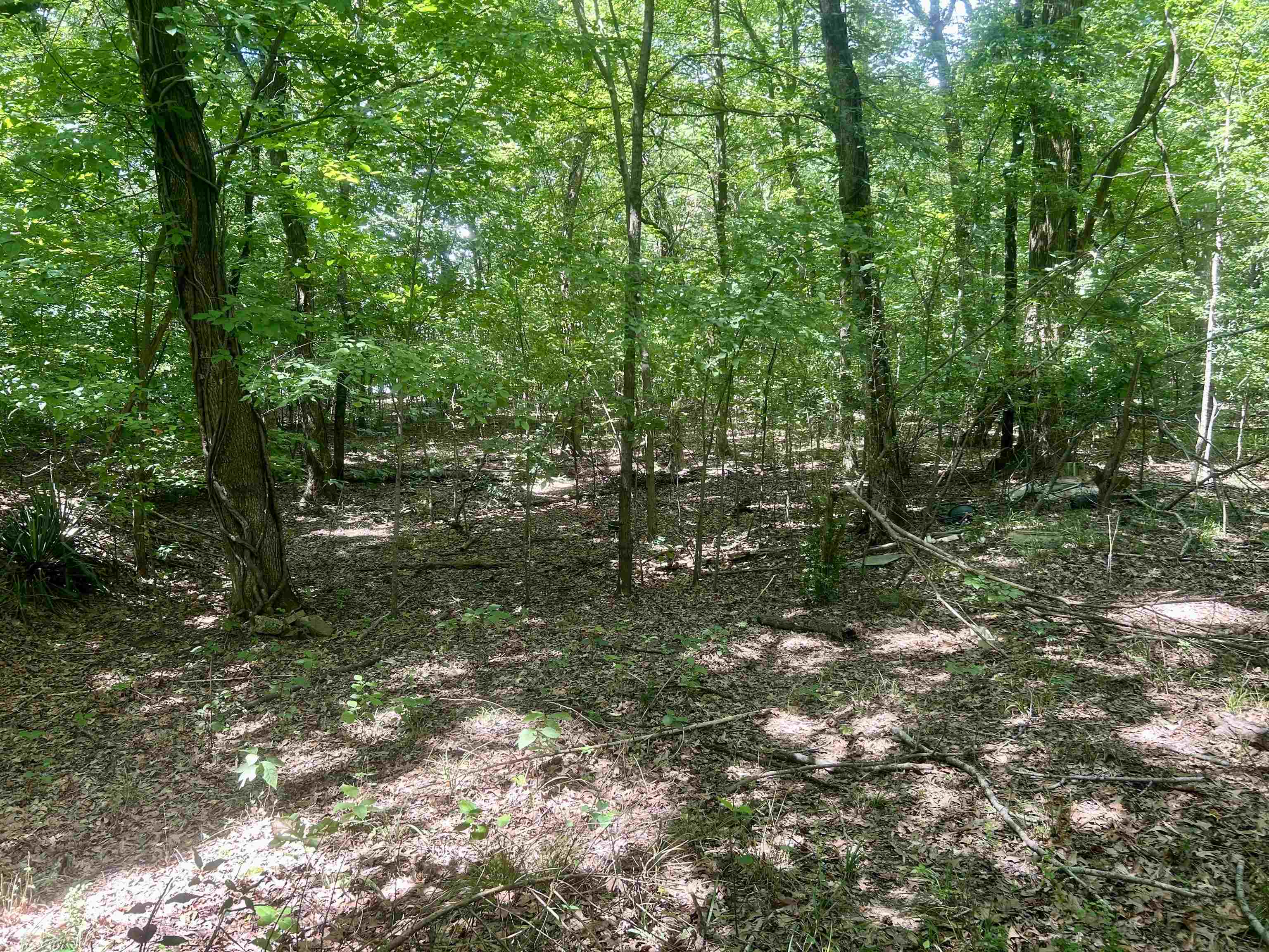 00 Lakehurst Drive Dr Property Photo 10