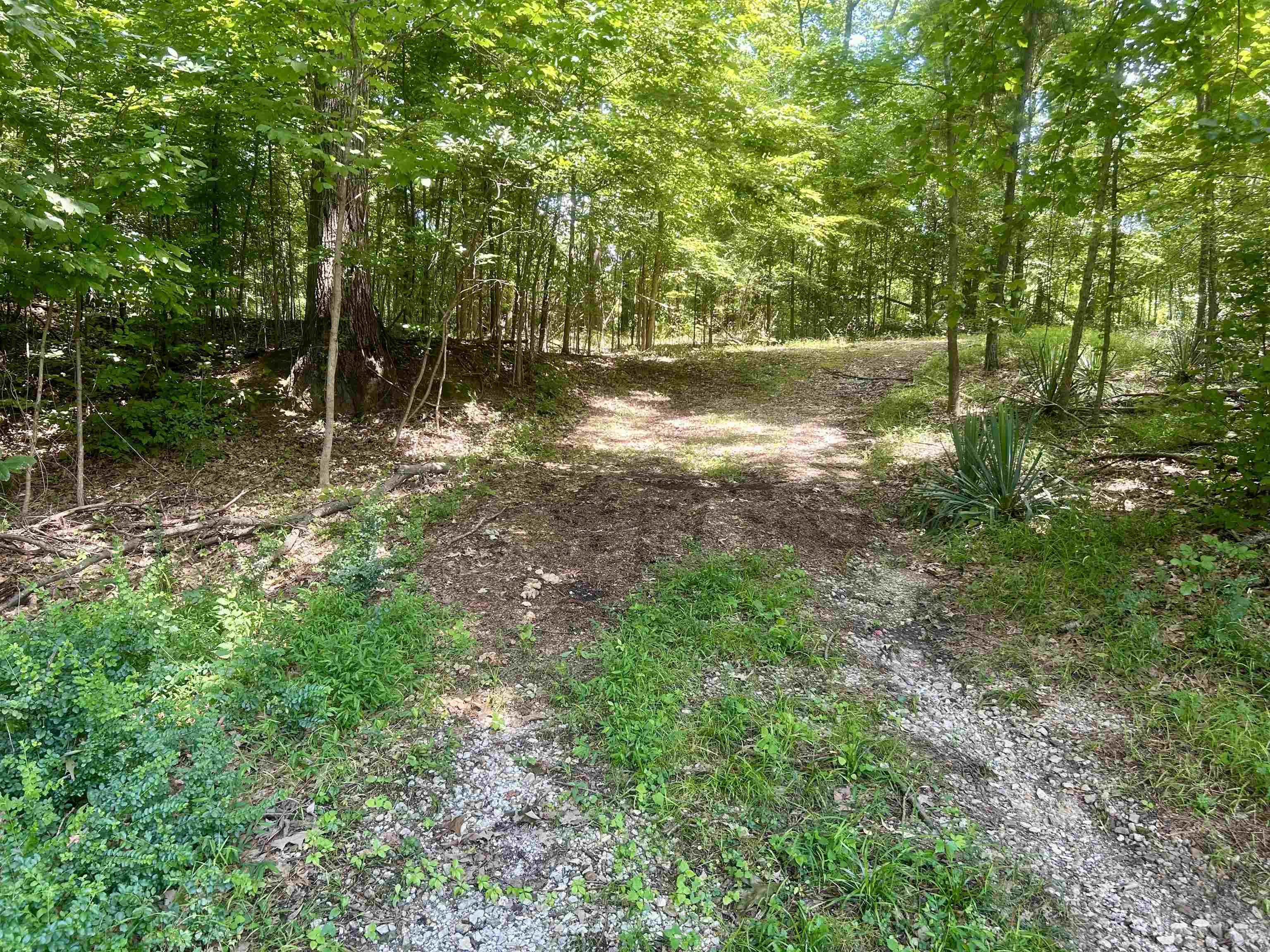 00 Lakehurst Drive Dr Property Photo 11
