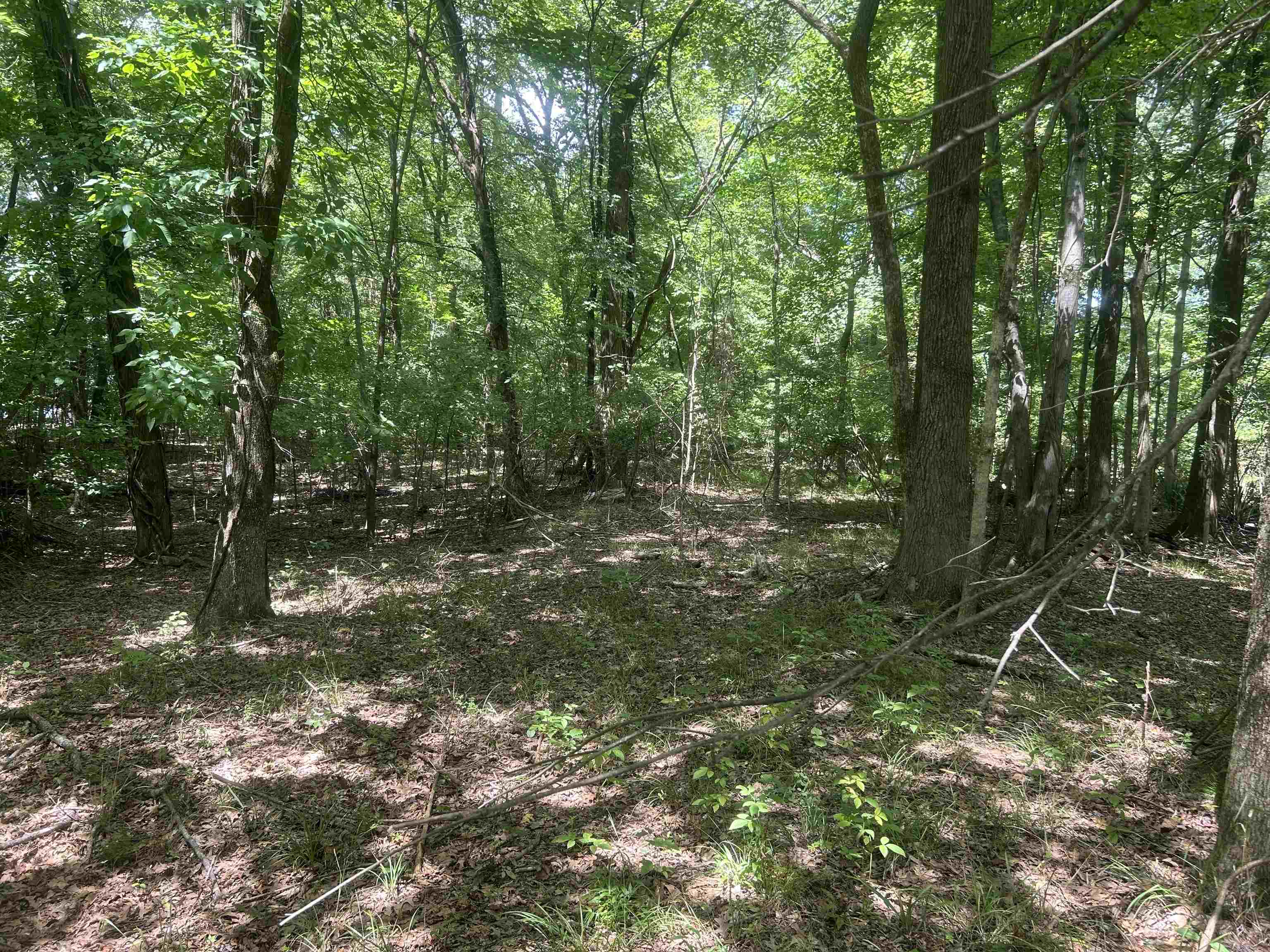 00 Lakehurst Drive Dr Property Photo 12