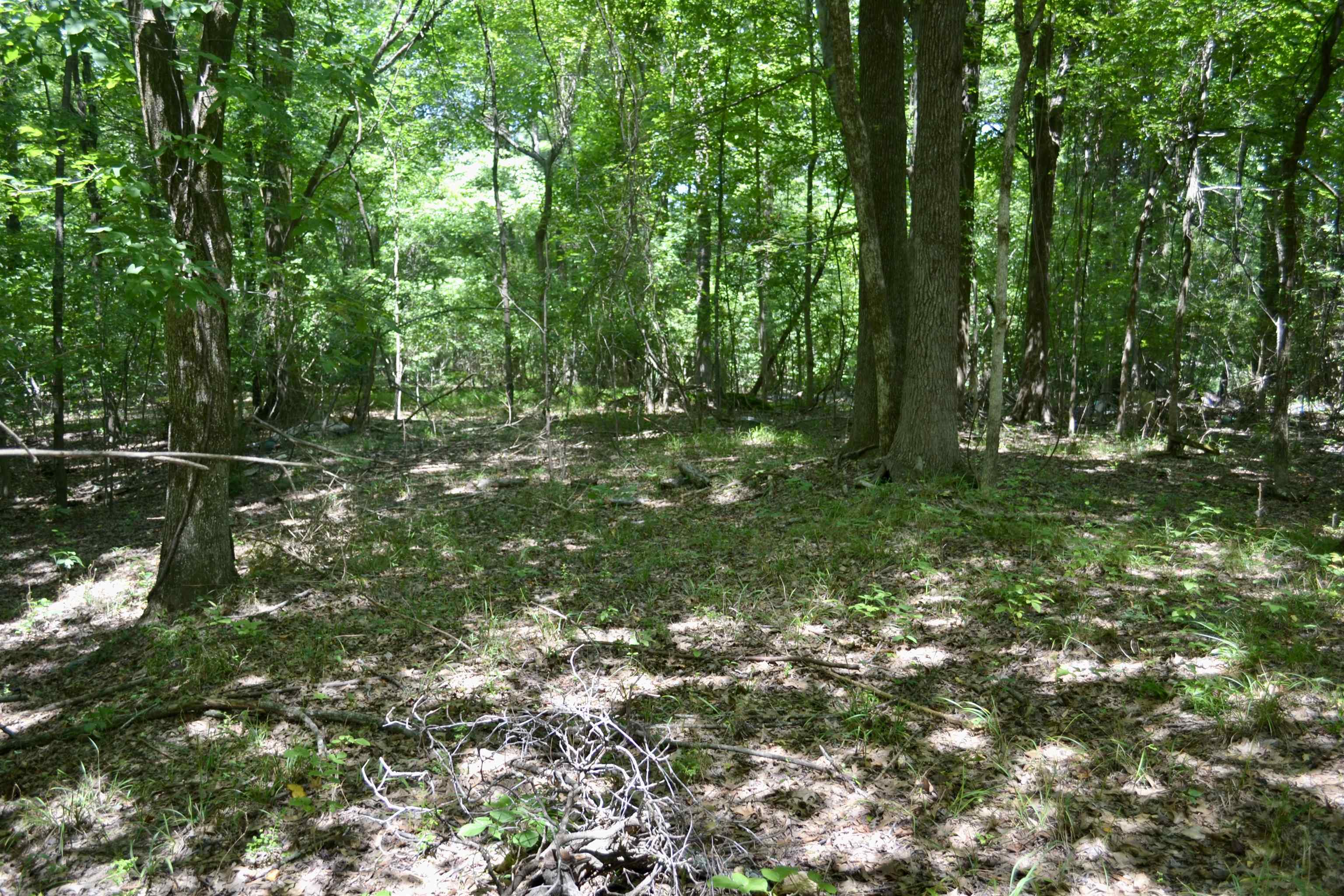 00 Lakehurst Drive Dr Property Photo 14