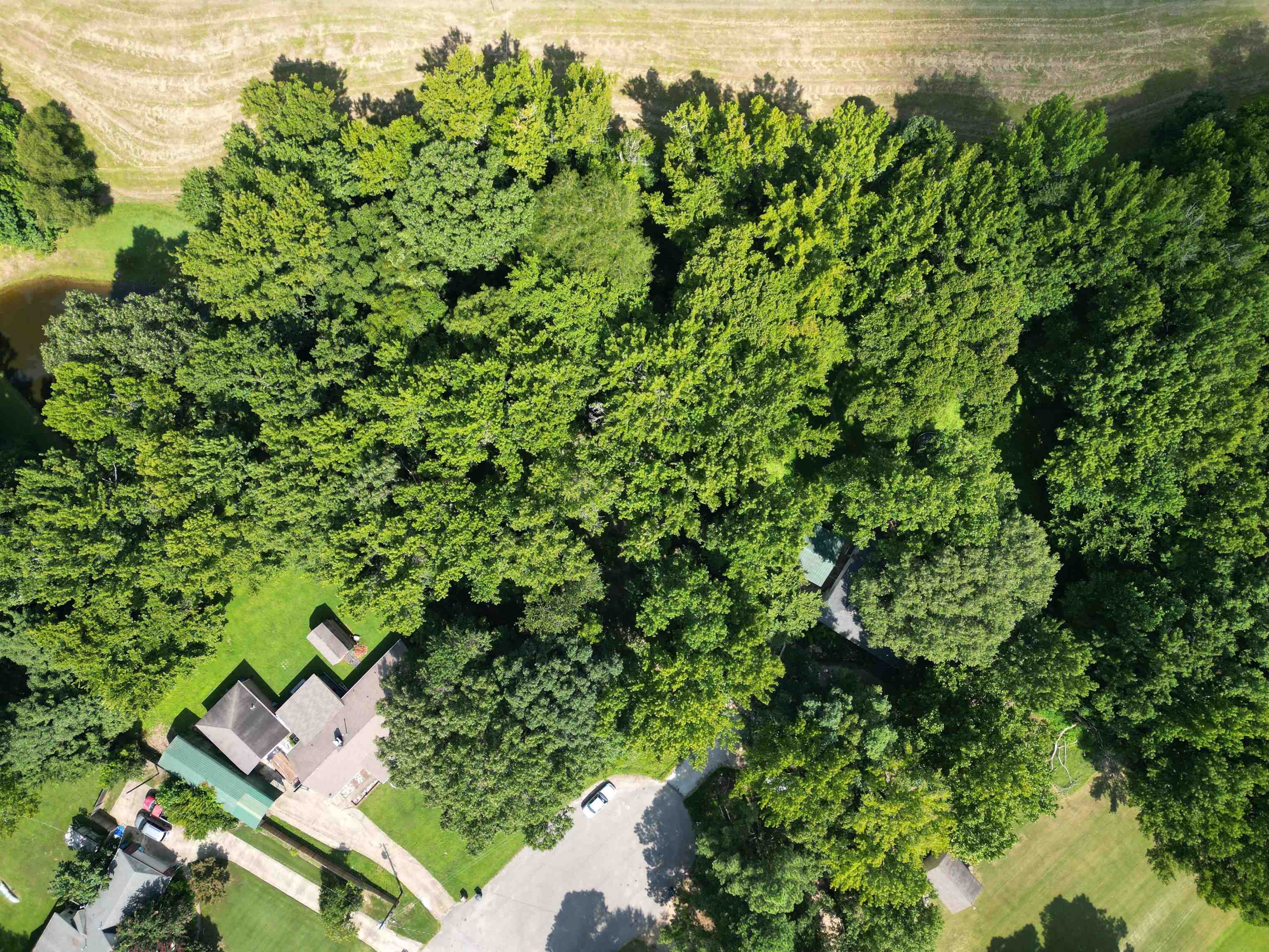 0 Harmon Cv Property Photo 4