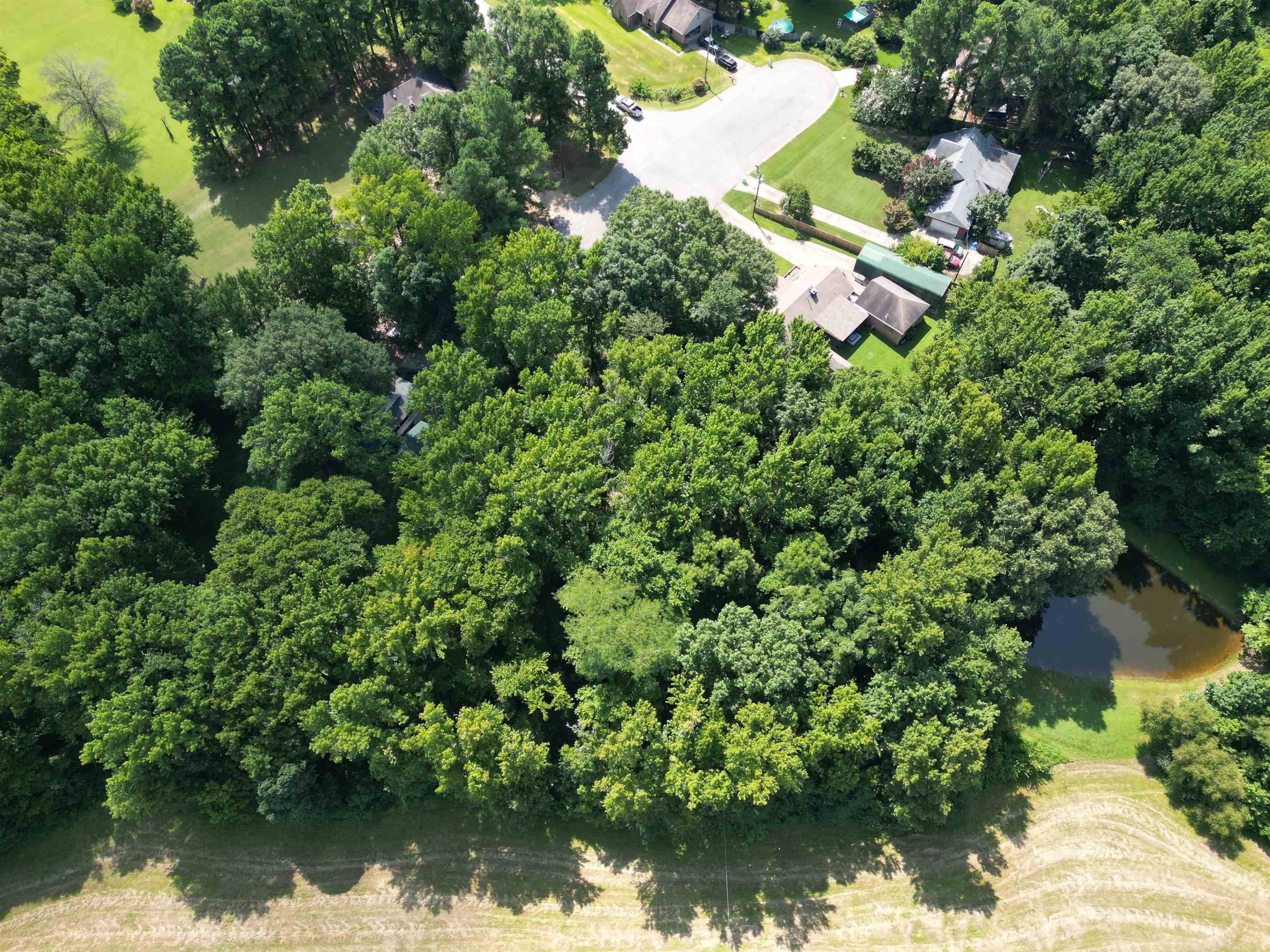 0 Harmon Cv Property Photo 5
