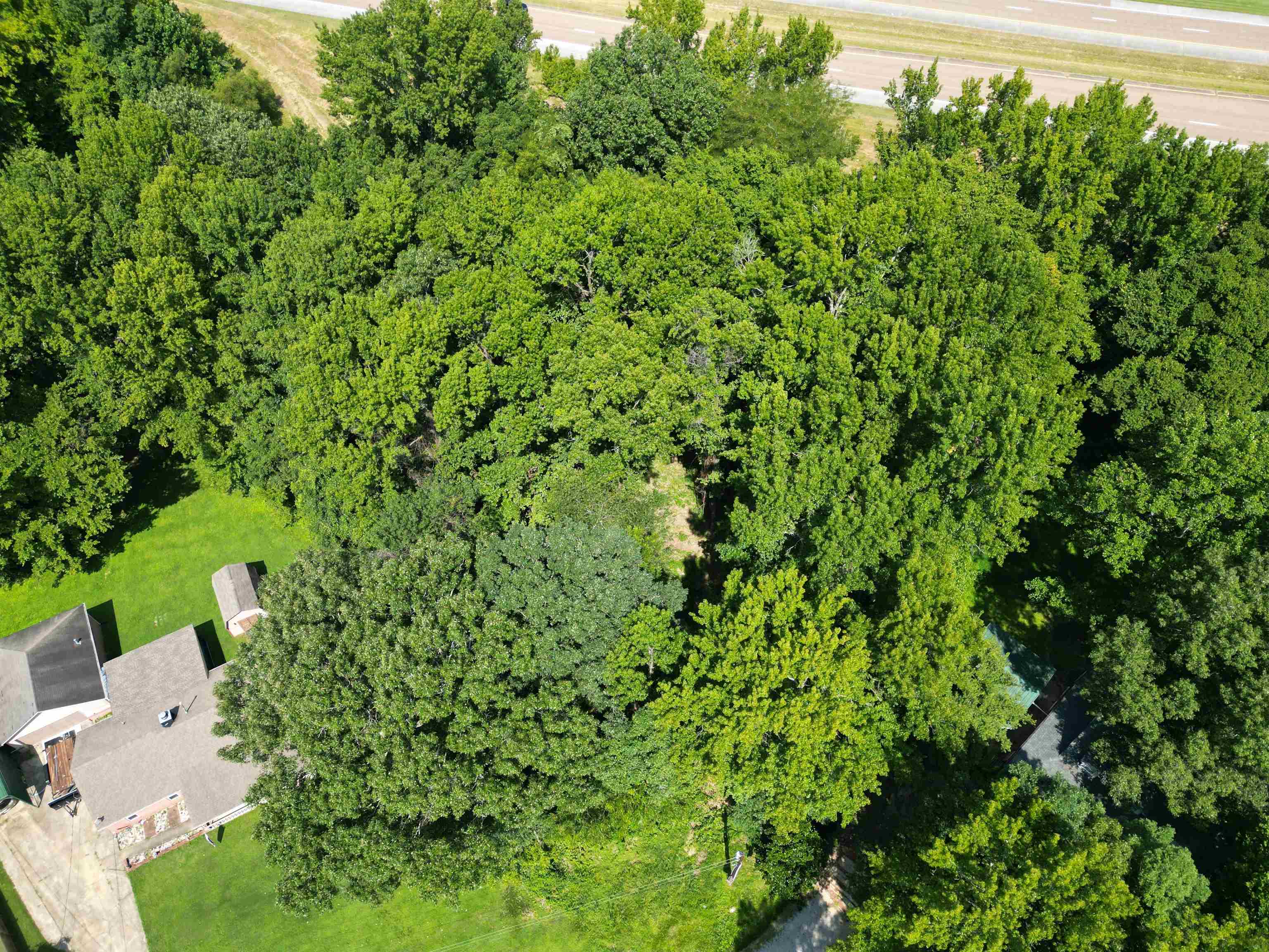 0 Harmon Cv Property Photo 7