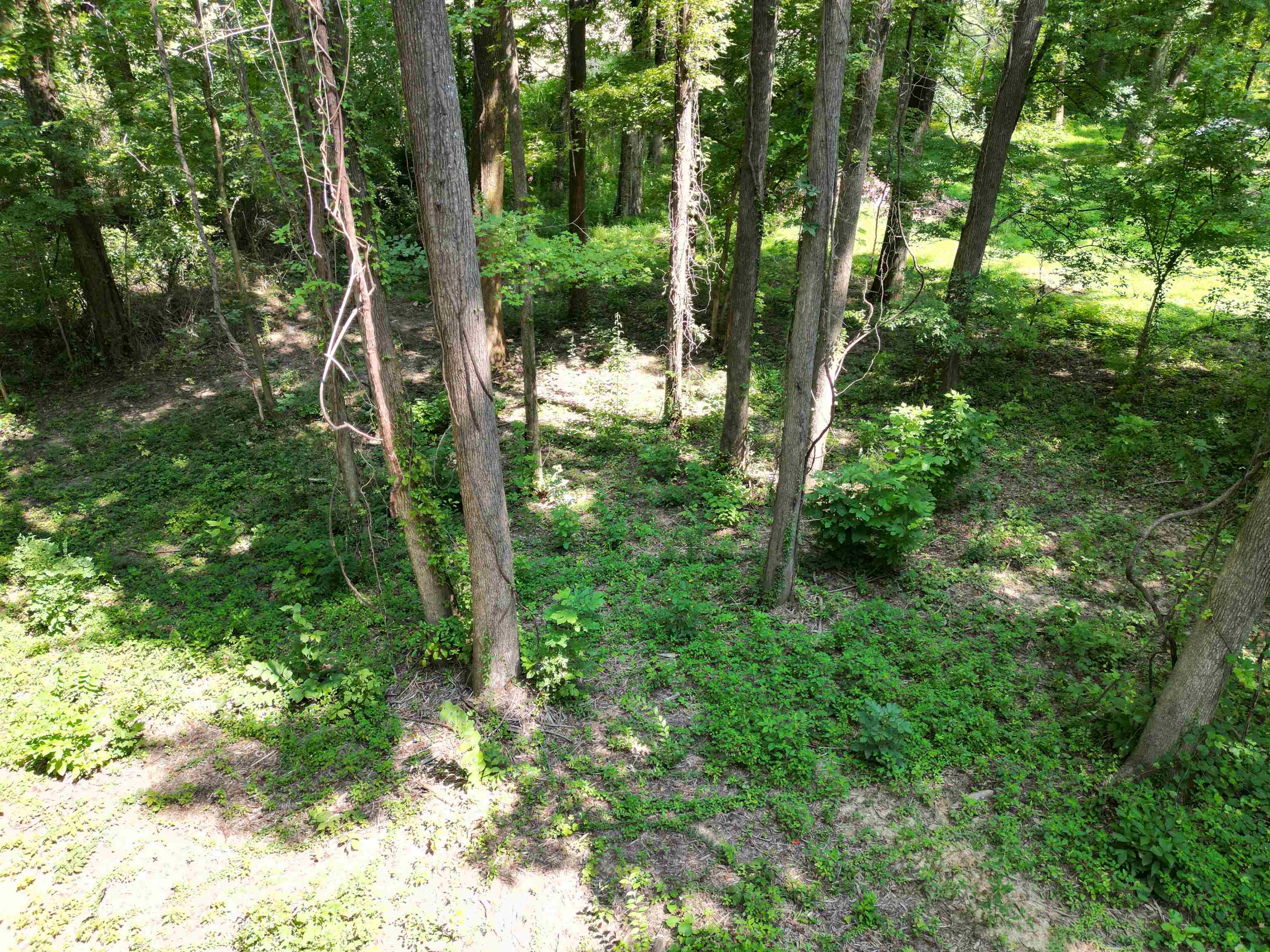 0 Harmon Cv Property Photo 10