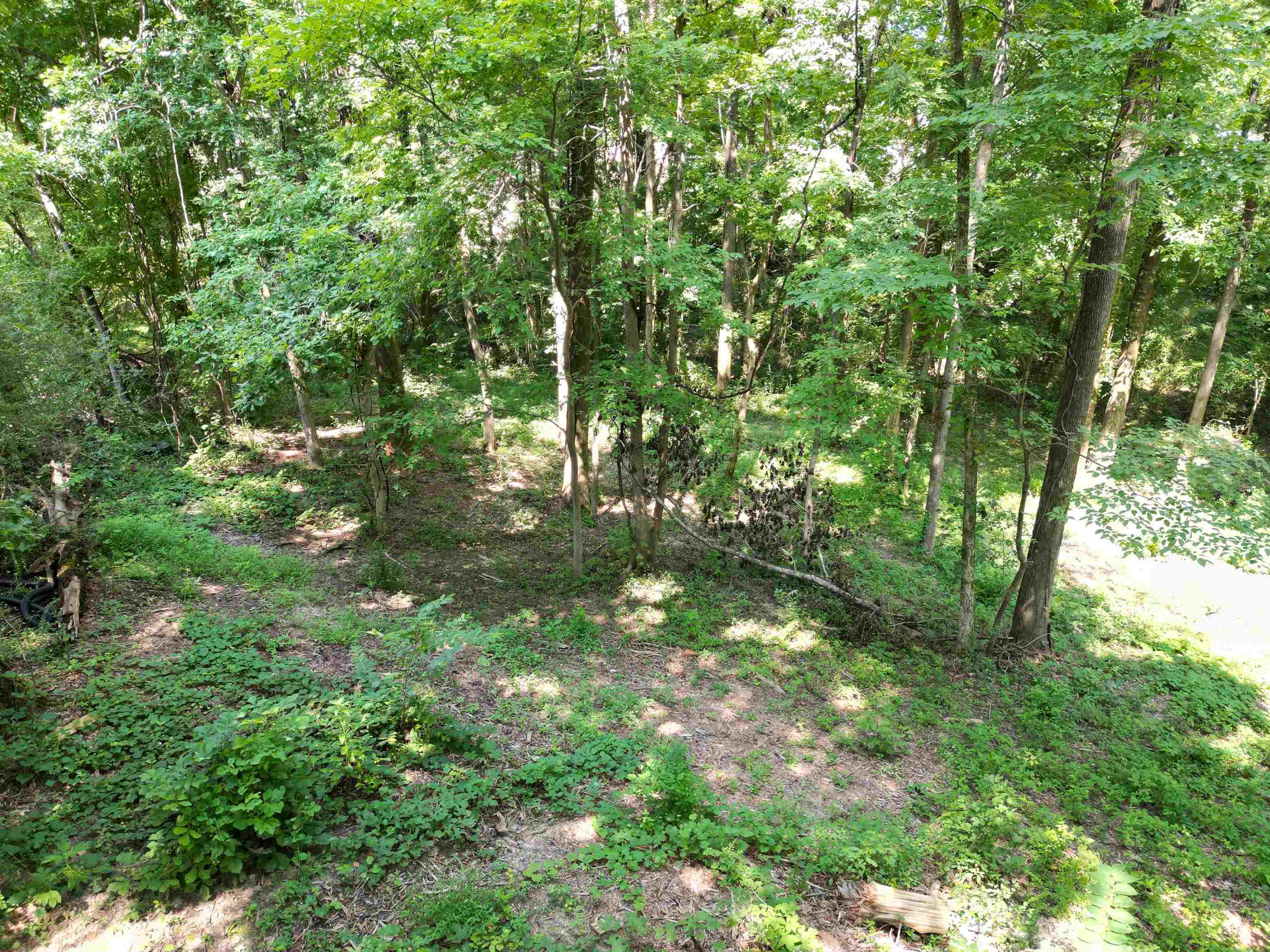 0 Harmon Cv Property Photo 11