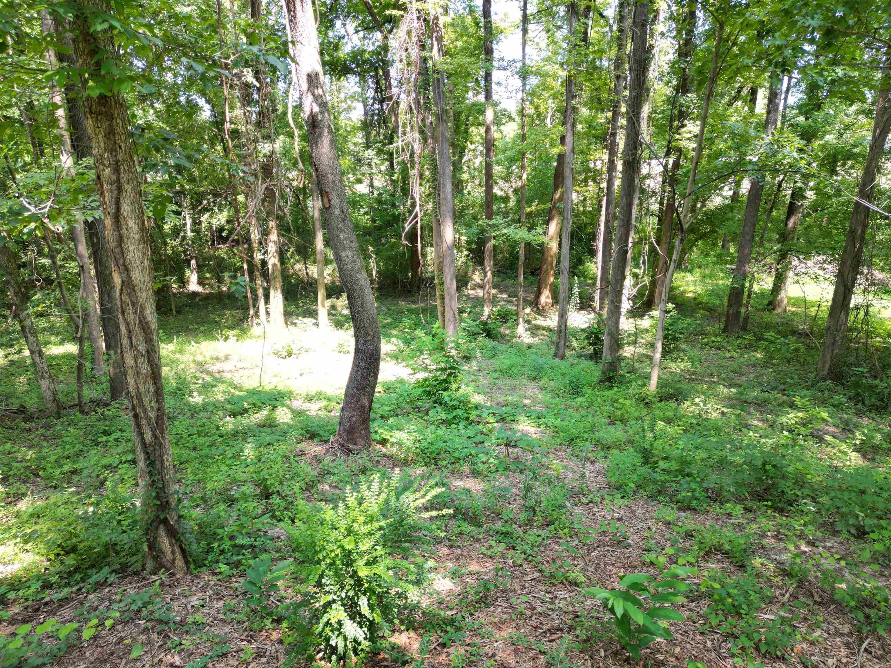 0 Harmon Cv Property Photo 12