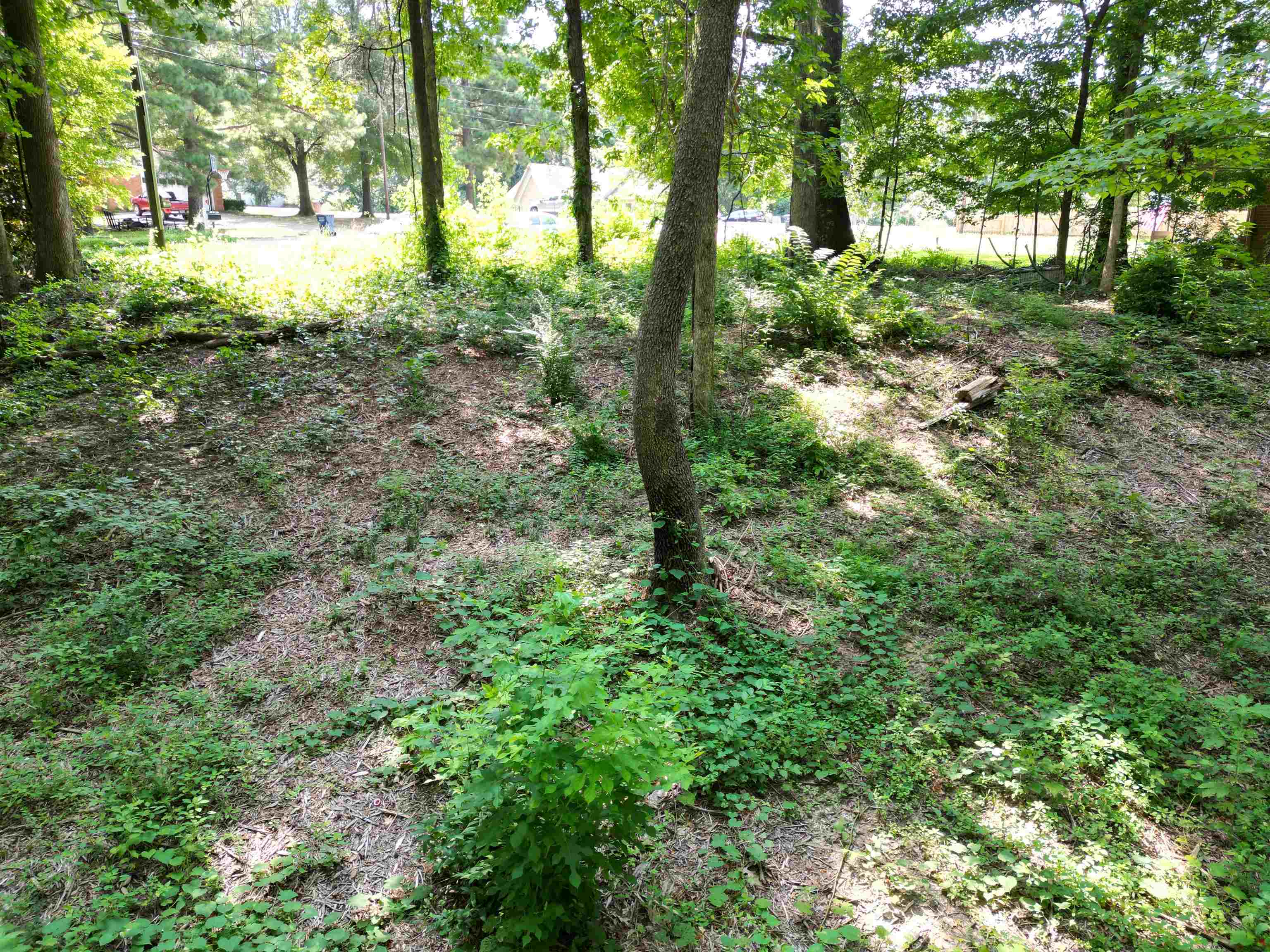 0 Harmon Cv Property Photo 15