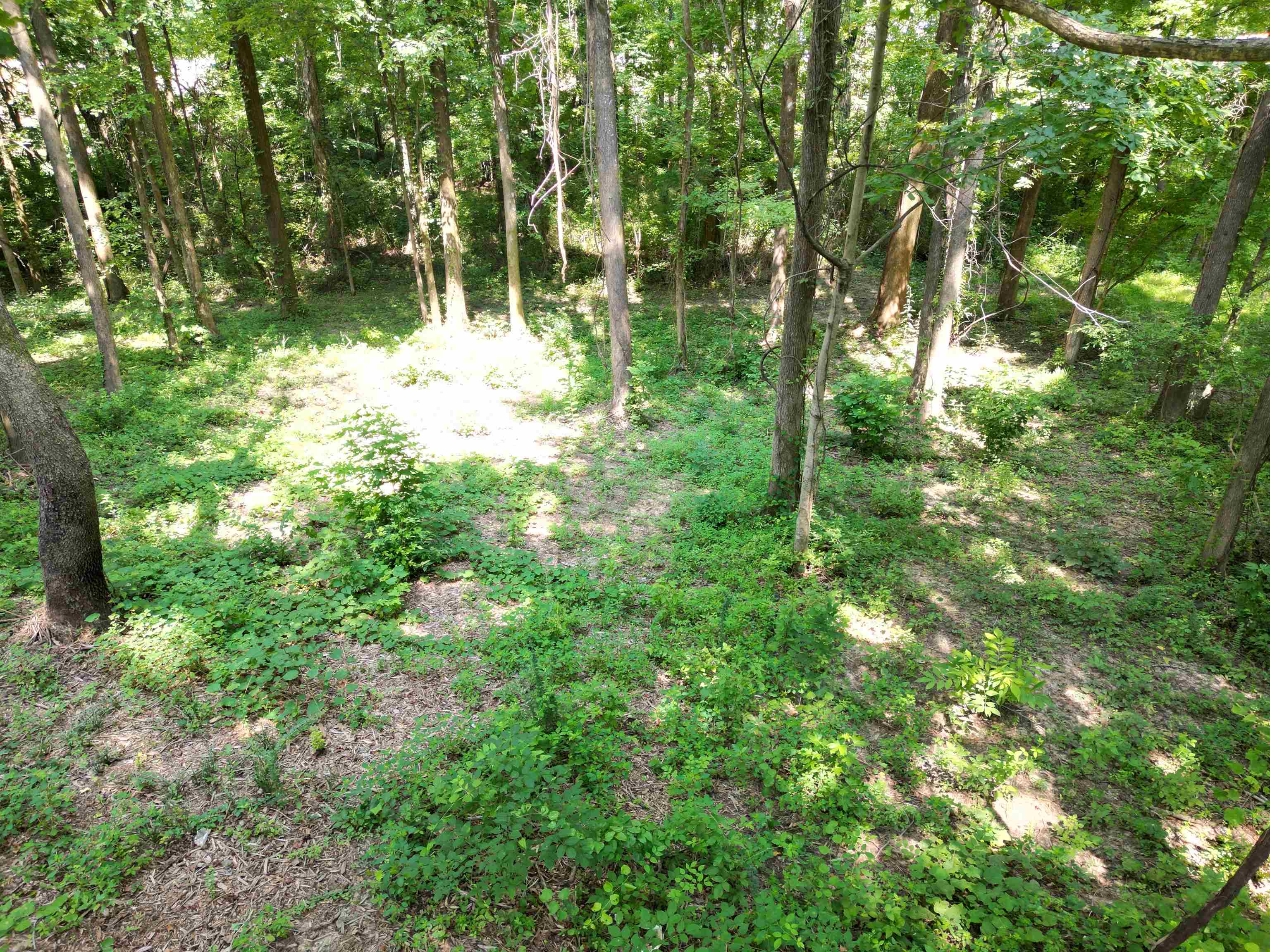 0 Harmon Cv Property Photo 16