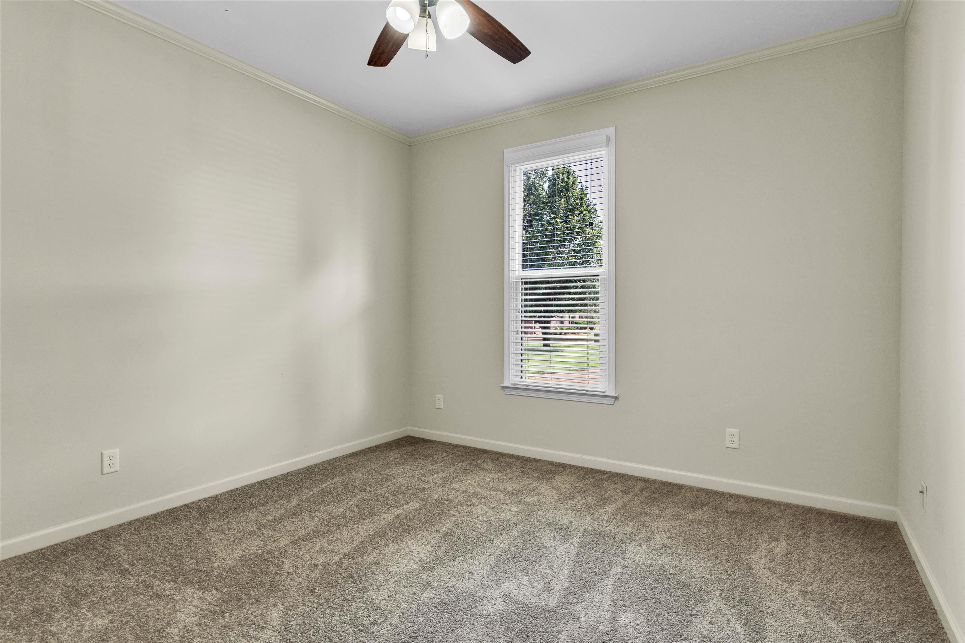 246 Spacious Sky Cv Property Photo 10