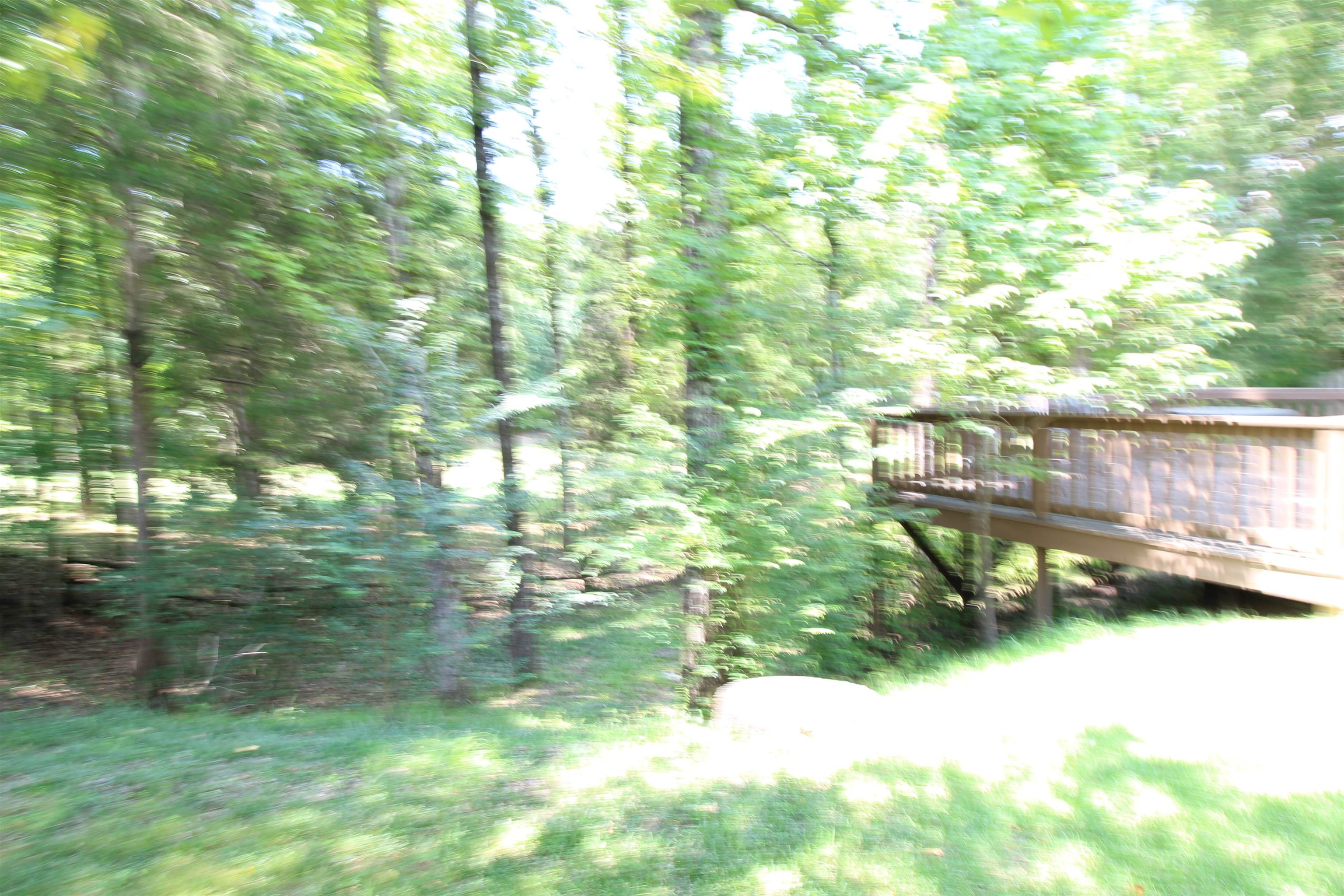 4197 Blackheath Dr Property Photo 10