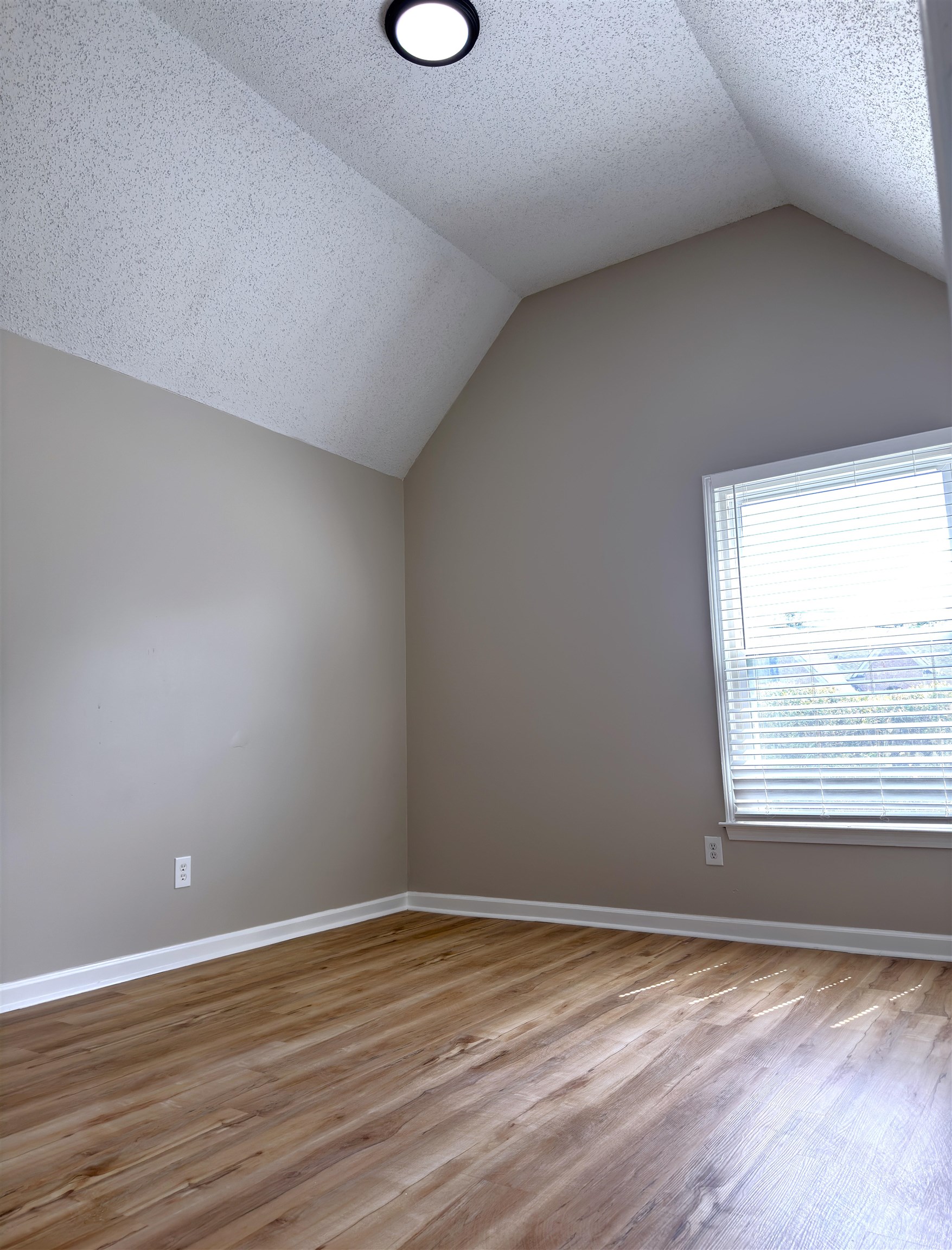927 Cully Rd Property Photo 18