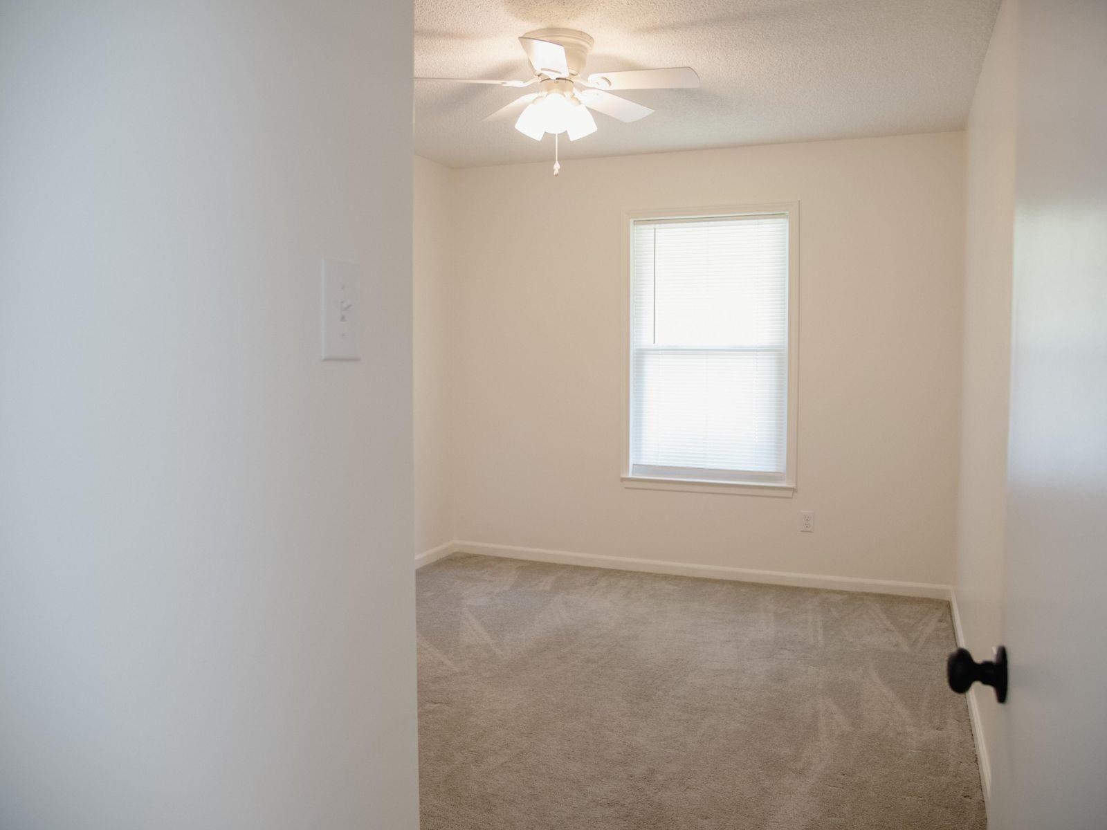 4883 Black Gum Dr Property Photo 11