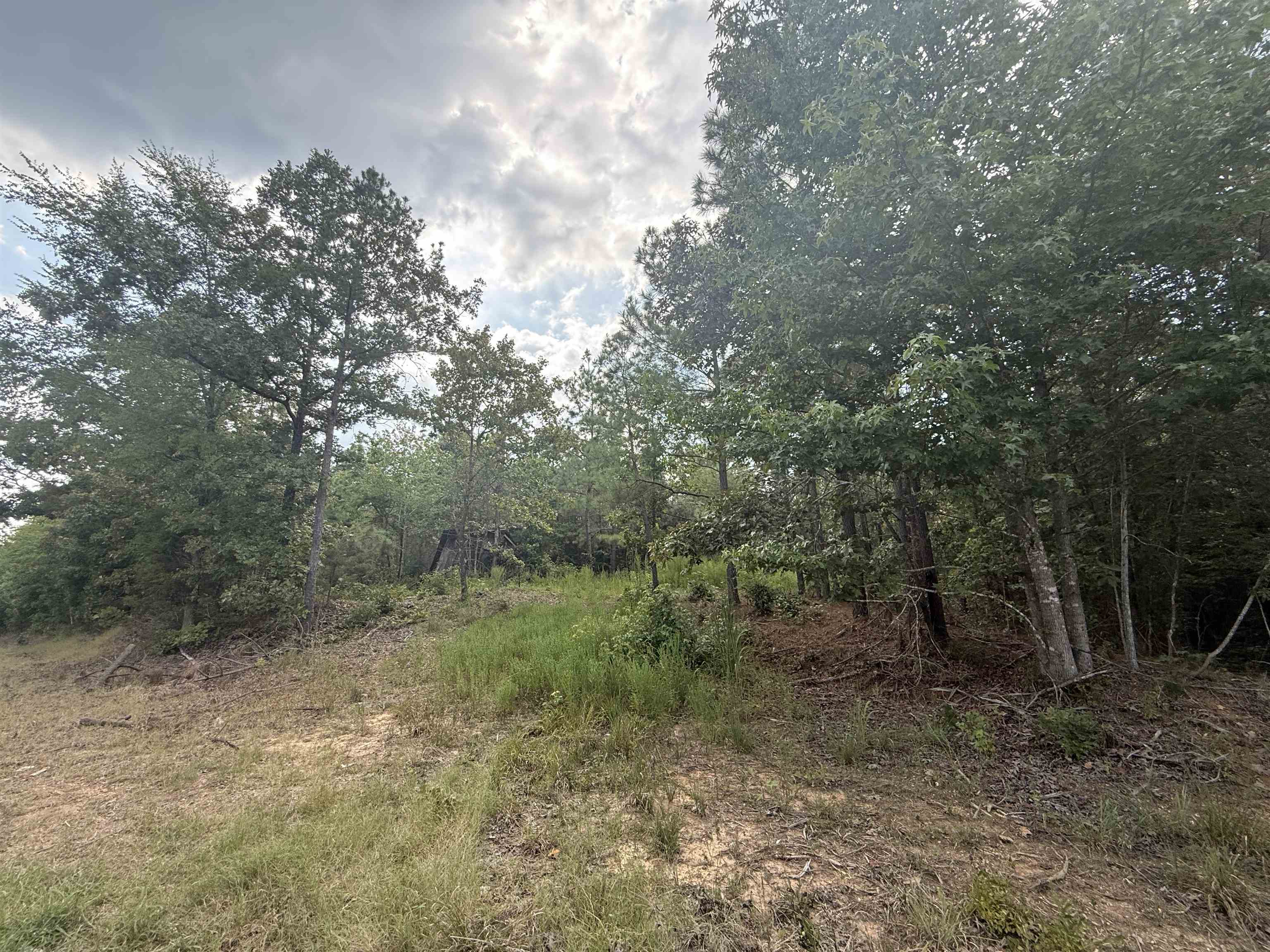 ROSE CREEK RD Property Photo 1