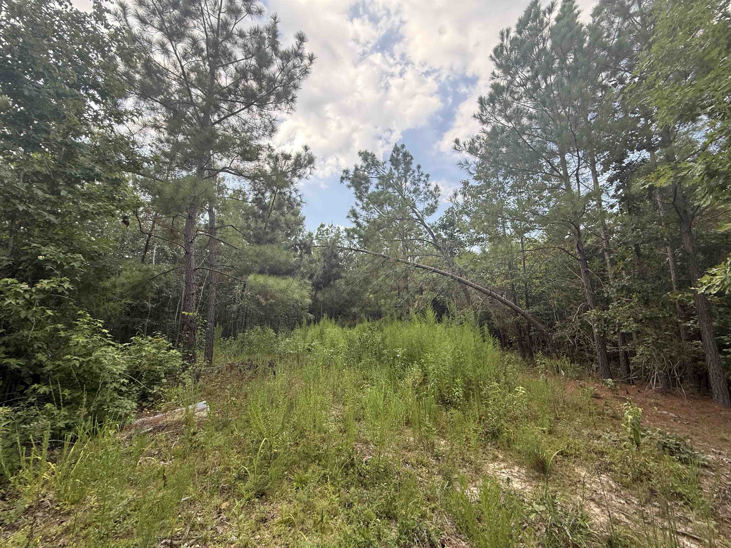 Rose Creek Rd Property Photo 2