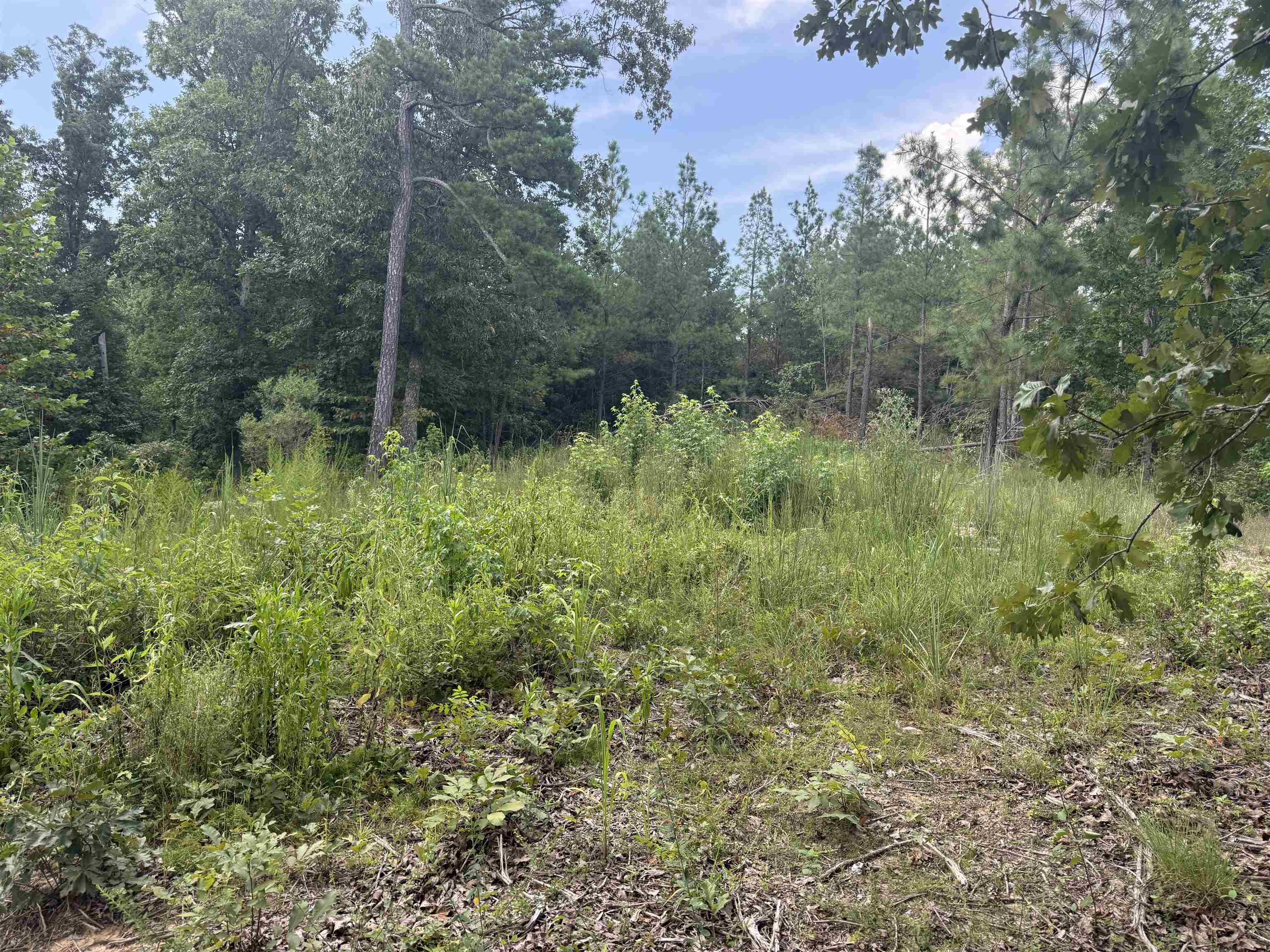 Rose Creek Rd Property Photo 3