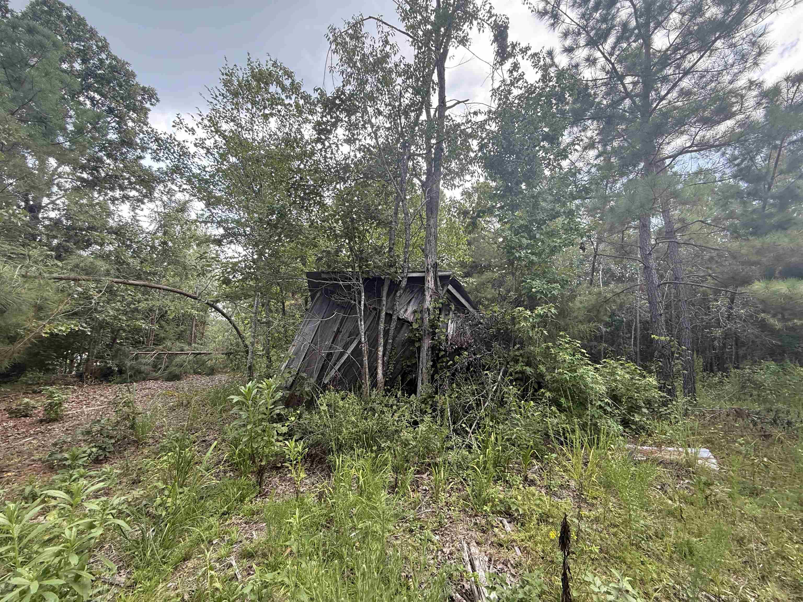 Rose Creek Rd Property Photo 4