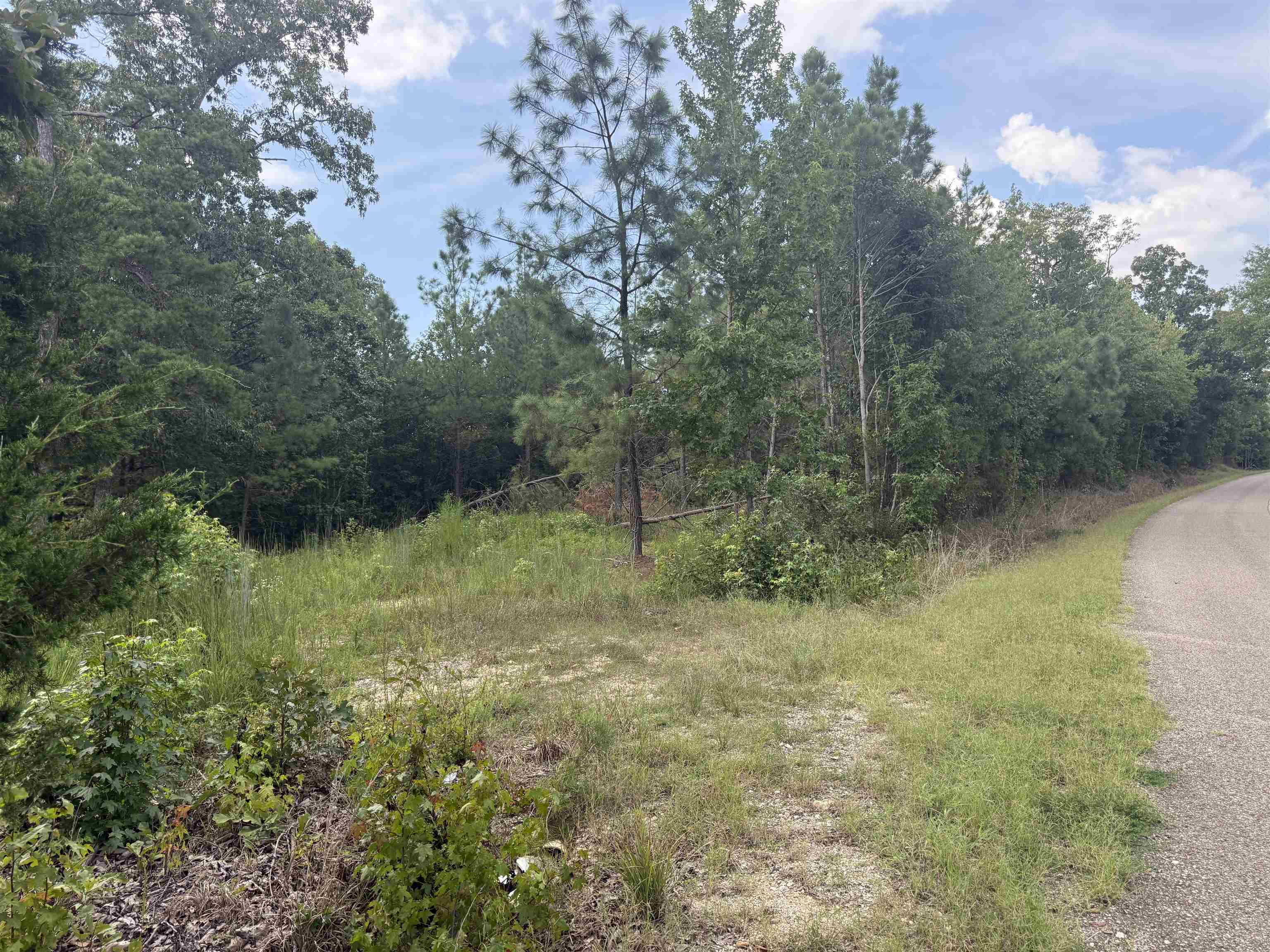 Rose Creek Rd Property Photo 6