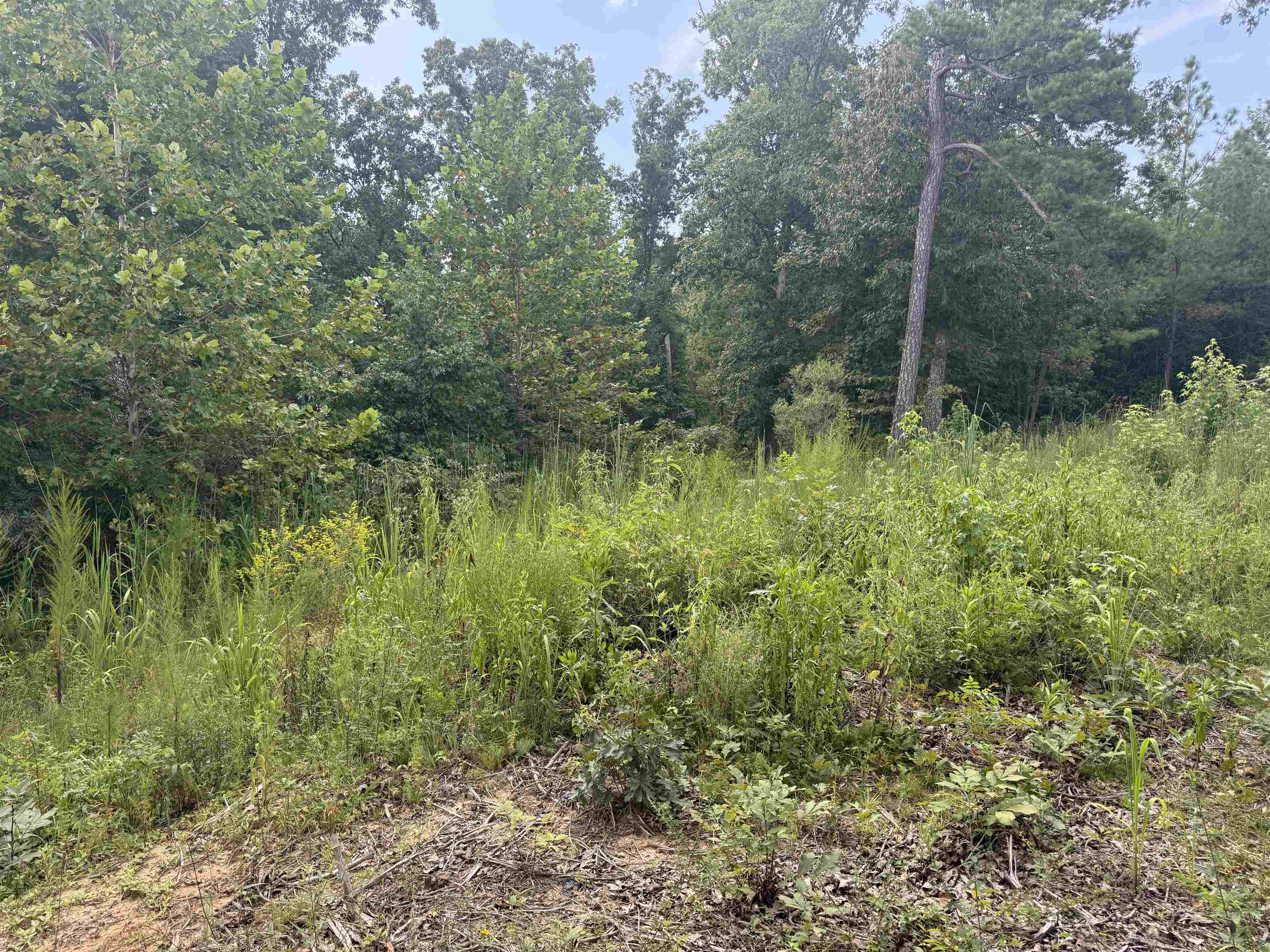 Rose Creek Rd Property Photo 7