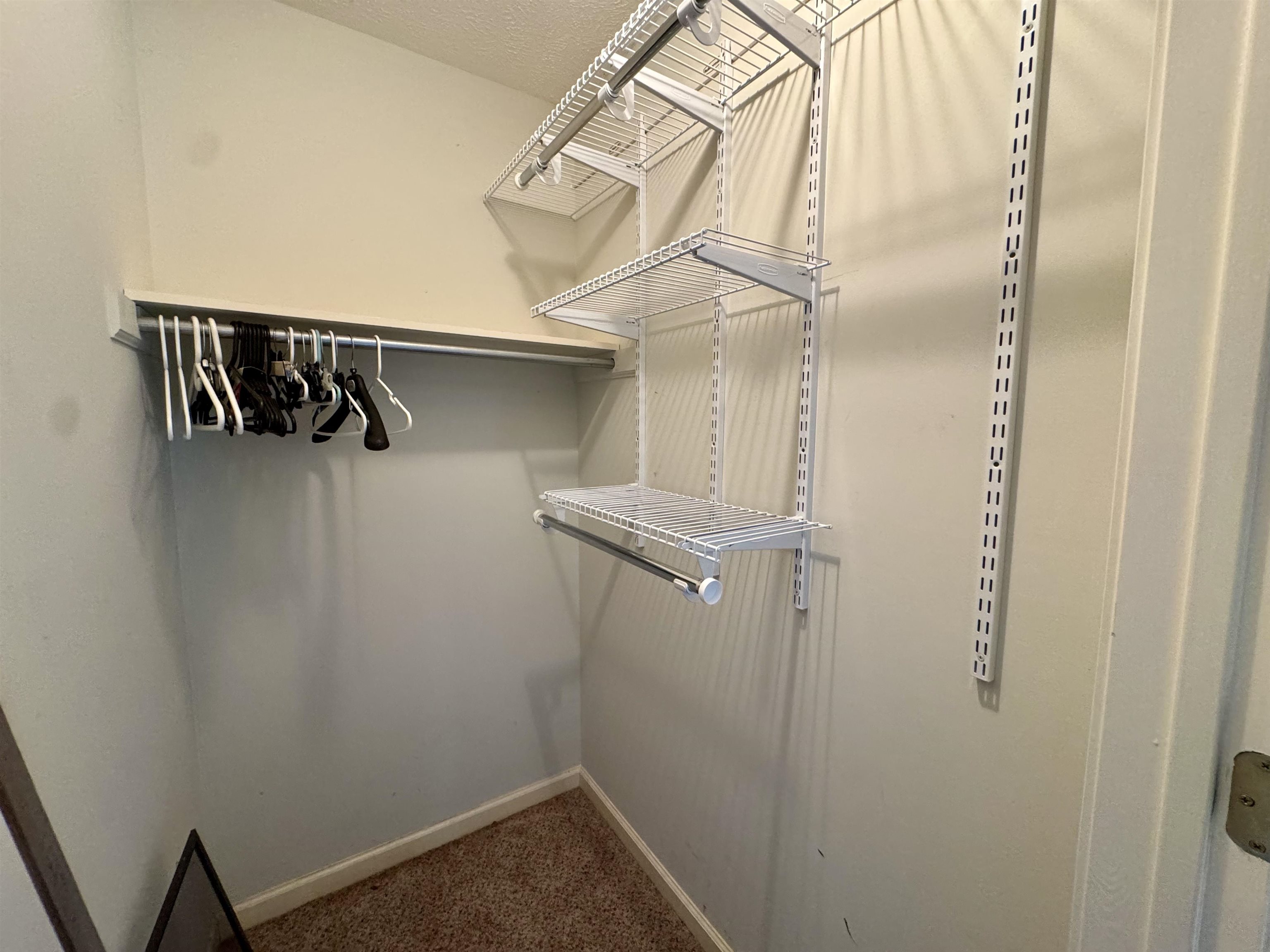 410 Murray Ln Property Photo 19