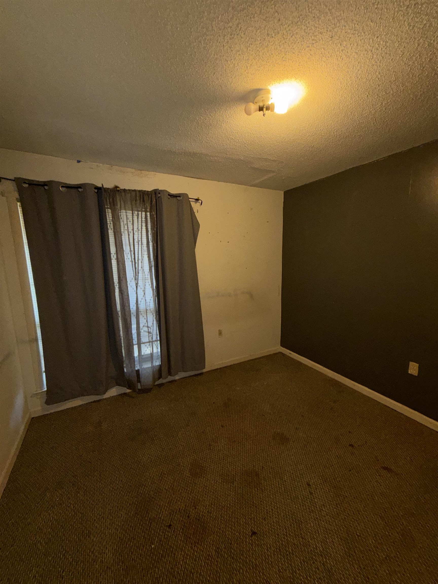 5334 S Rock Ridge Rd Property Photo 15