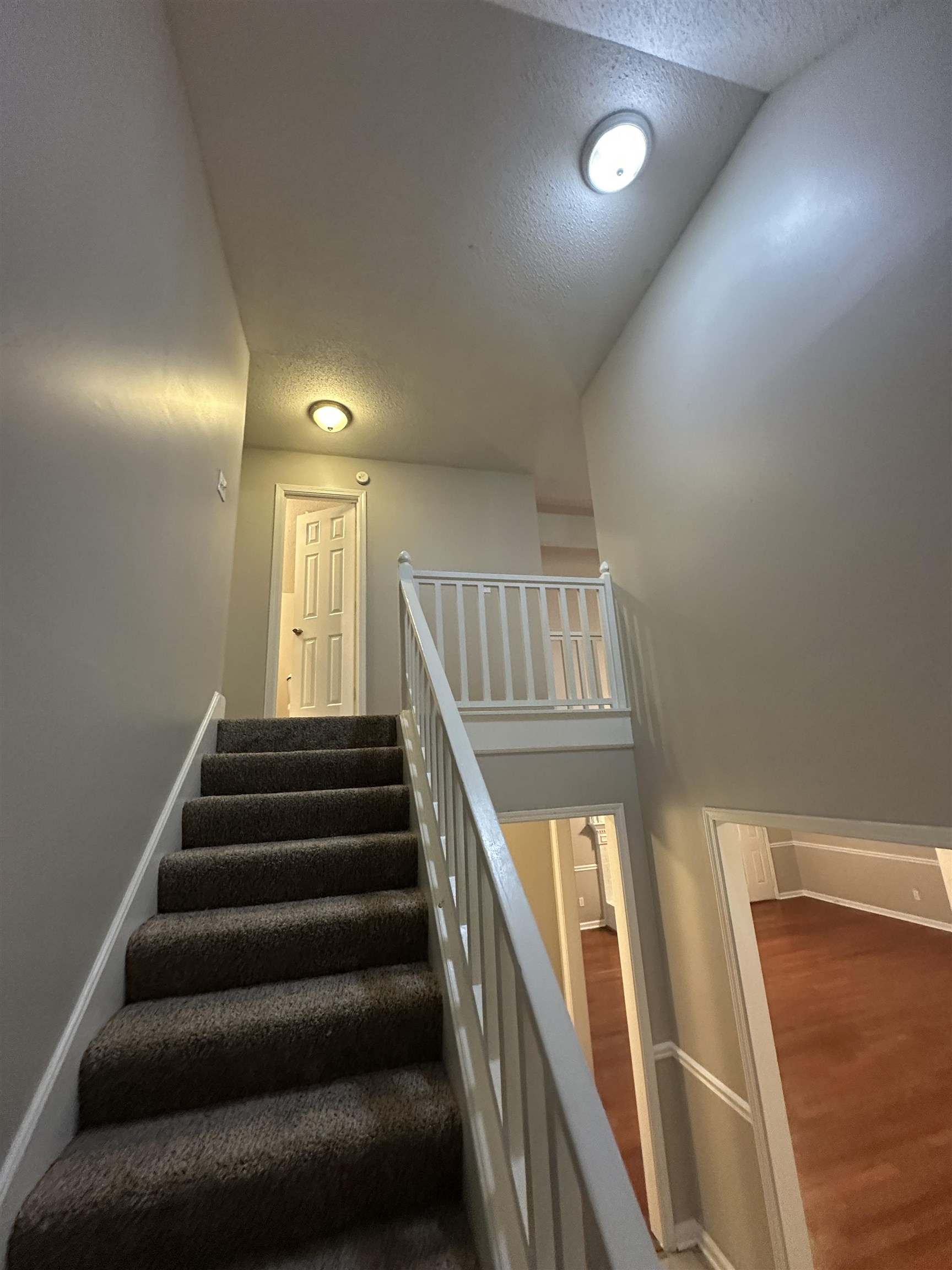 4439 Green Creek Dr Property Photo 21