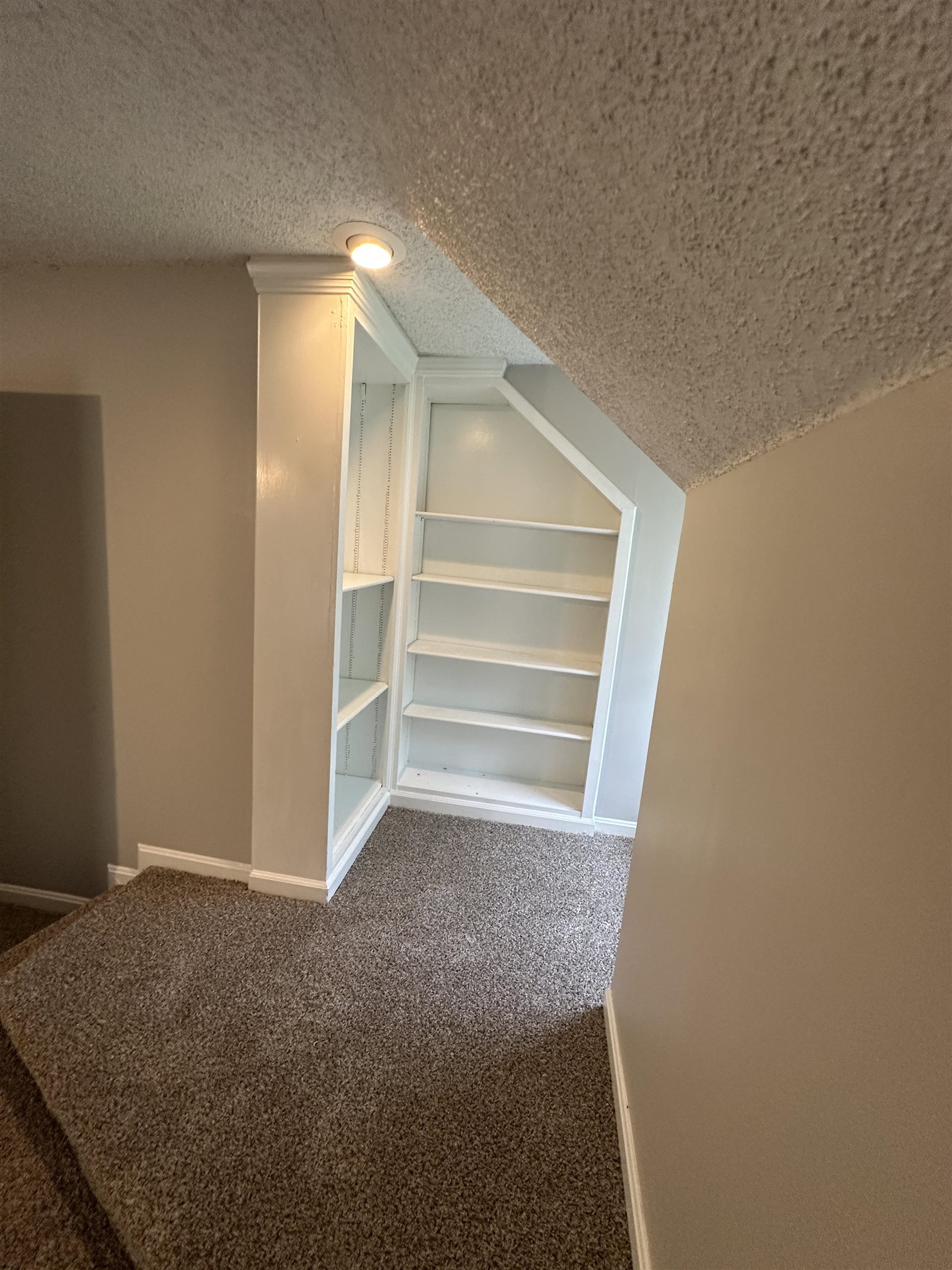 4439 Green Creek Dr Property Photo 25