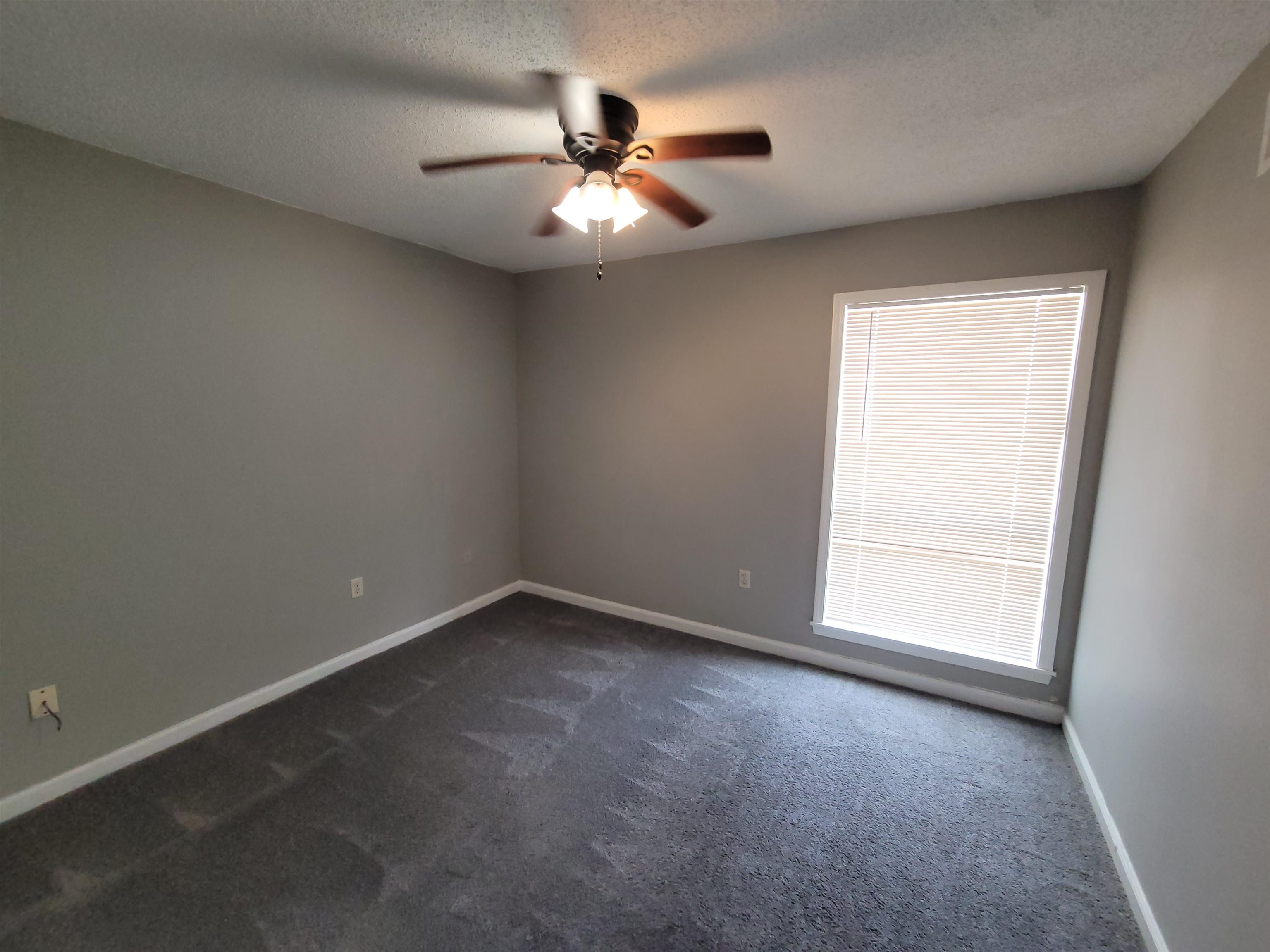 1313 Ryanwood Ave Property Photo 24