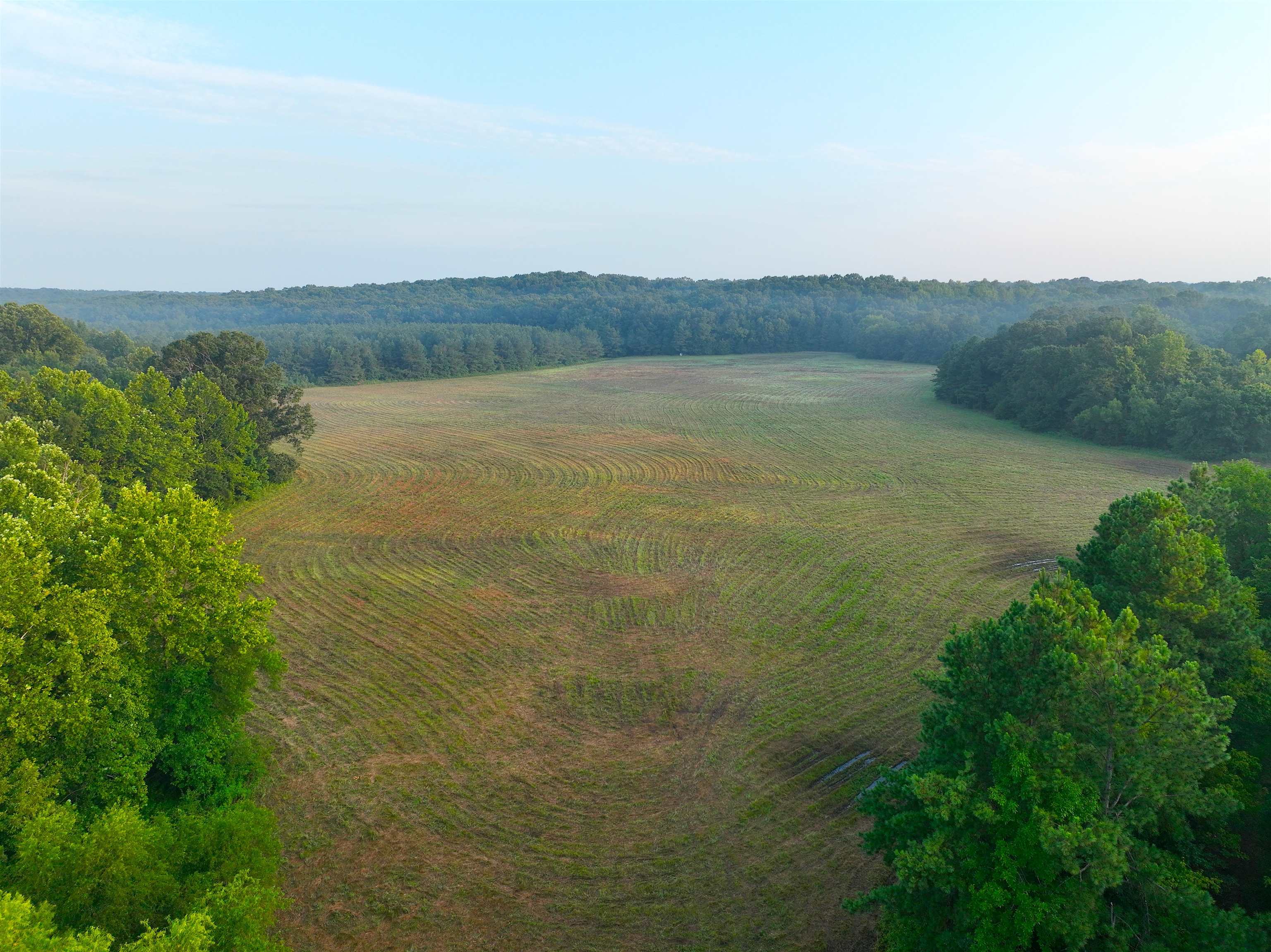 2530 West Fork Rd Property Photo 2