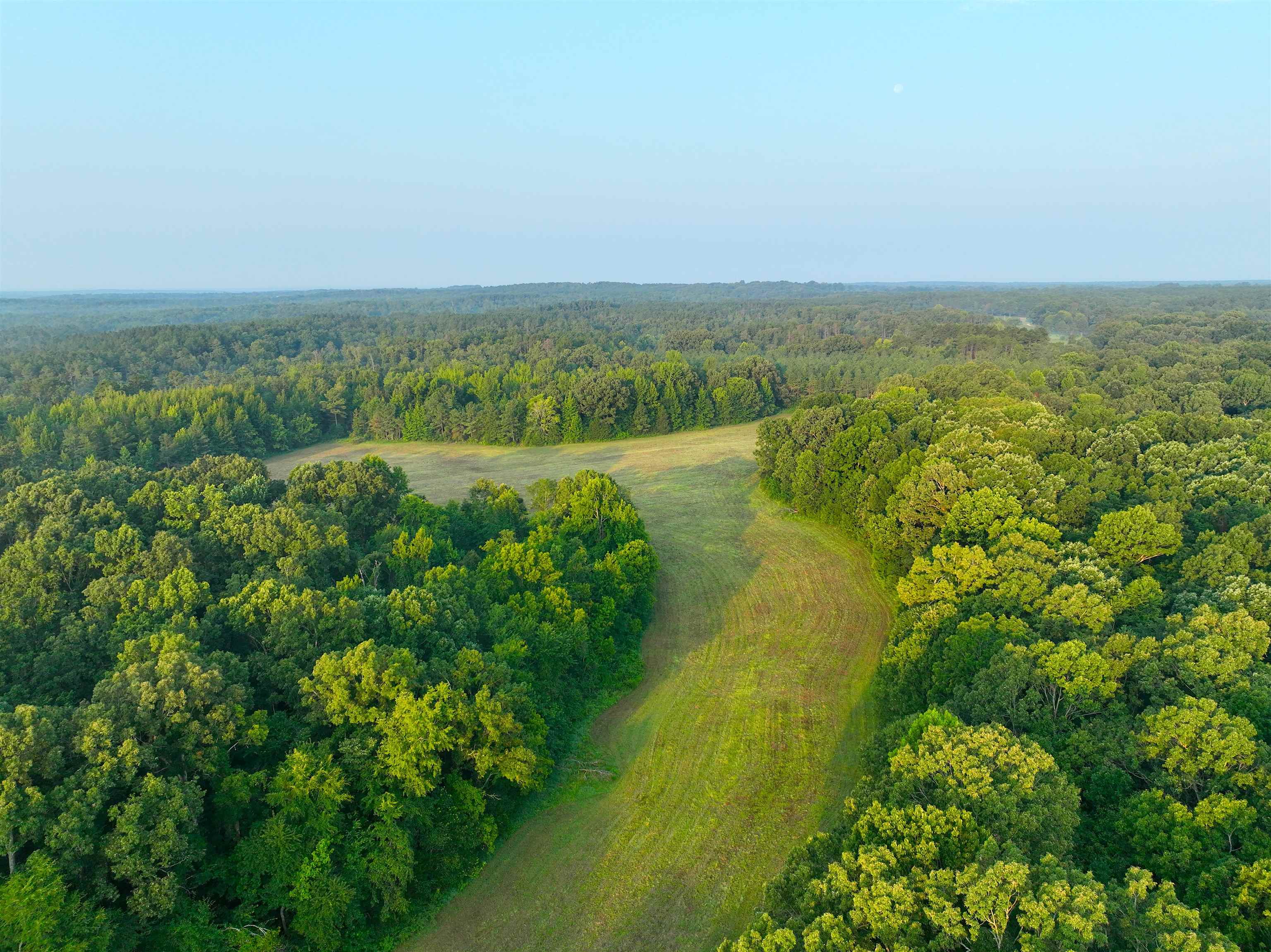 2530 West Fork Rd Property Photo 6