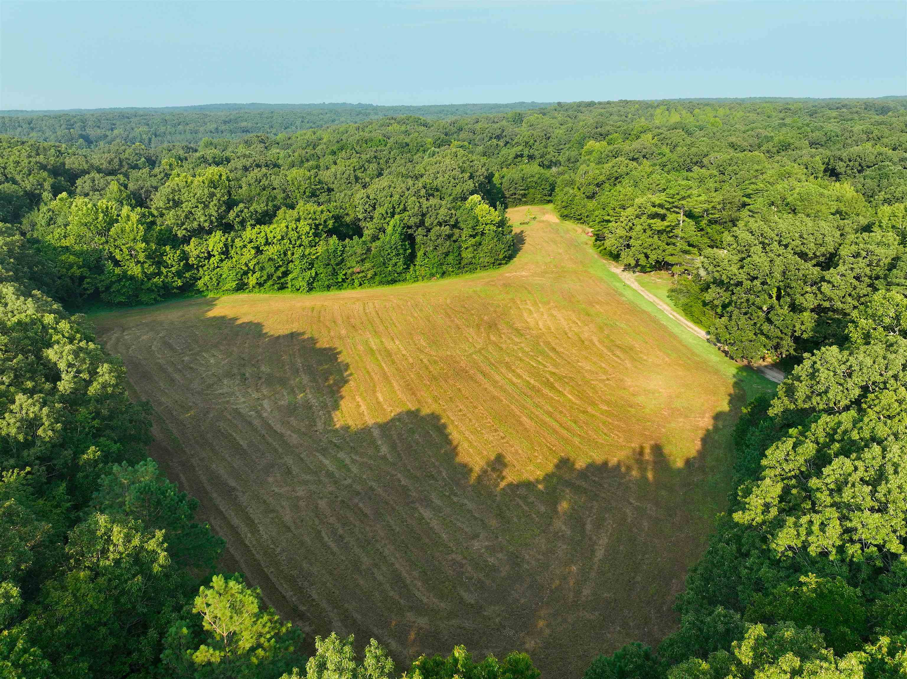 2530 West Fork Rd Property Photo 18