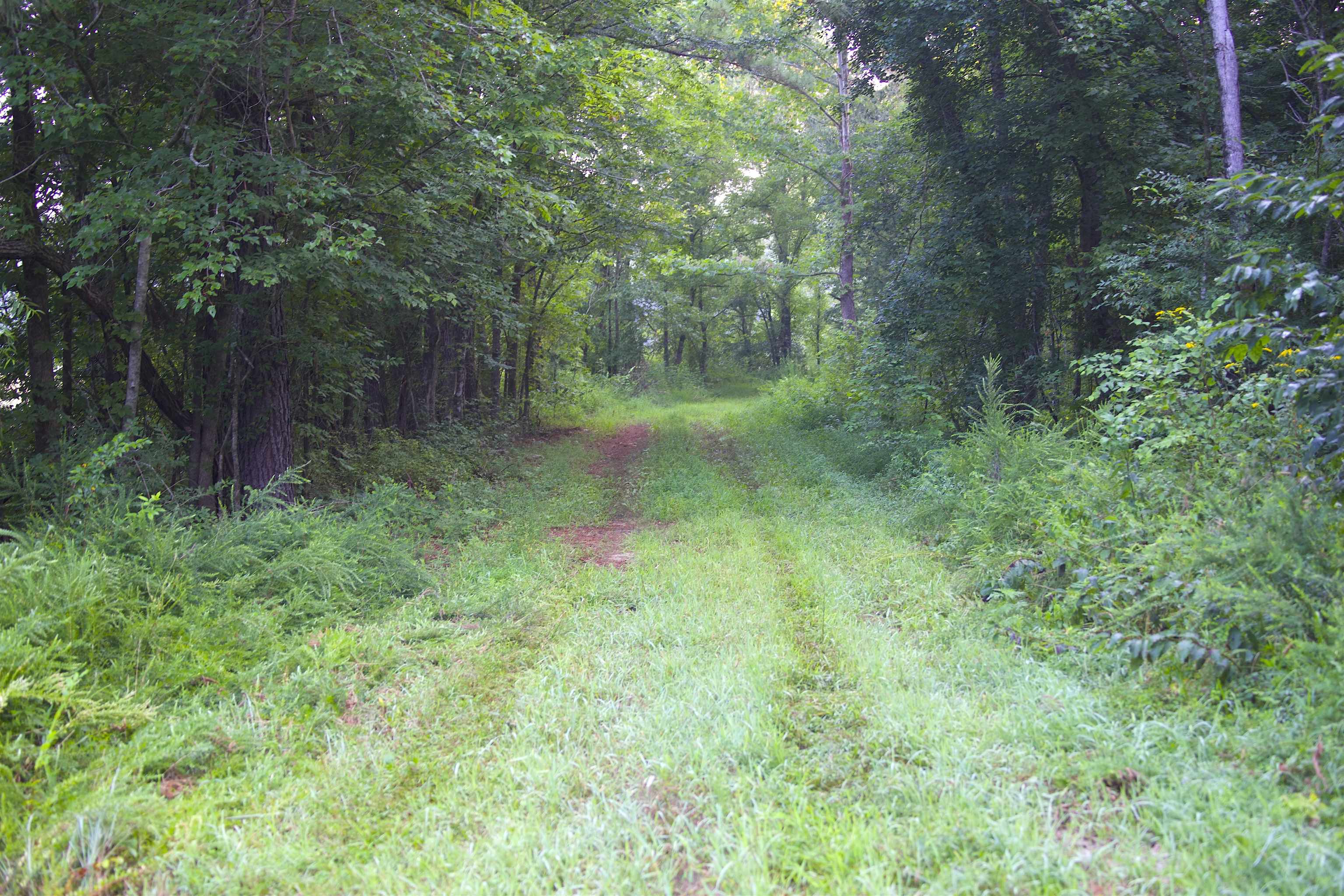 2530 West Fork Rd Property Photo 21
